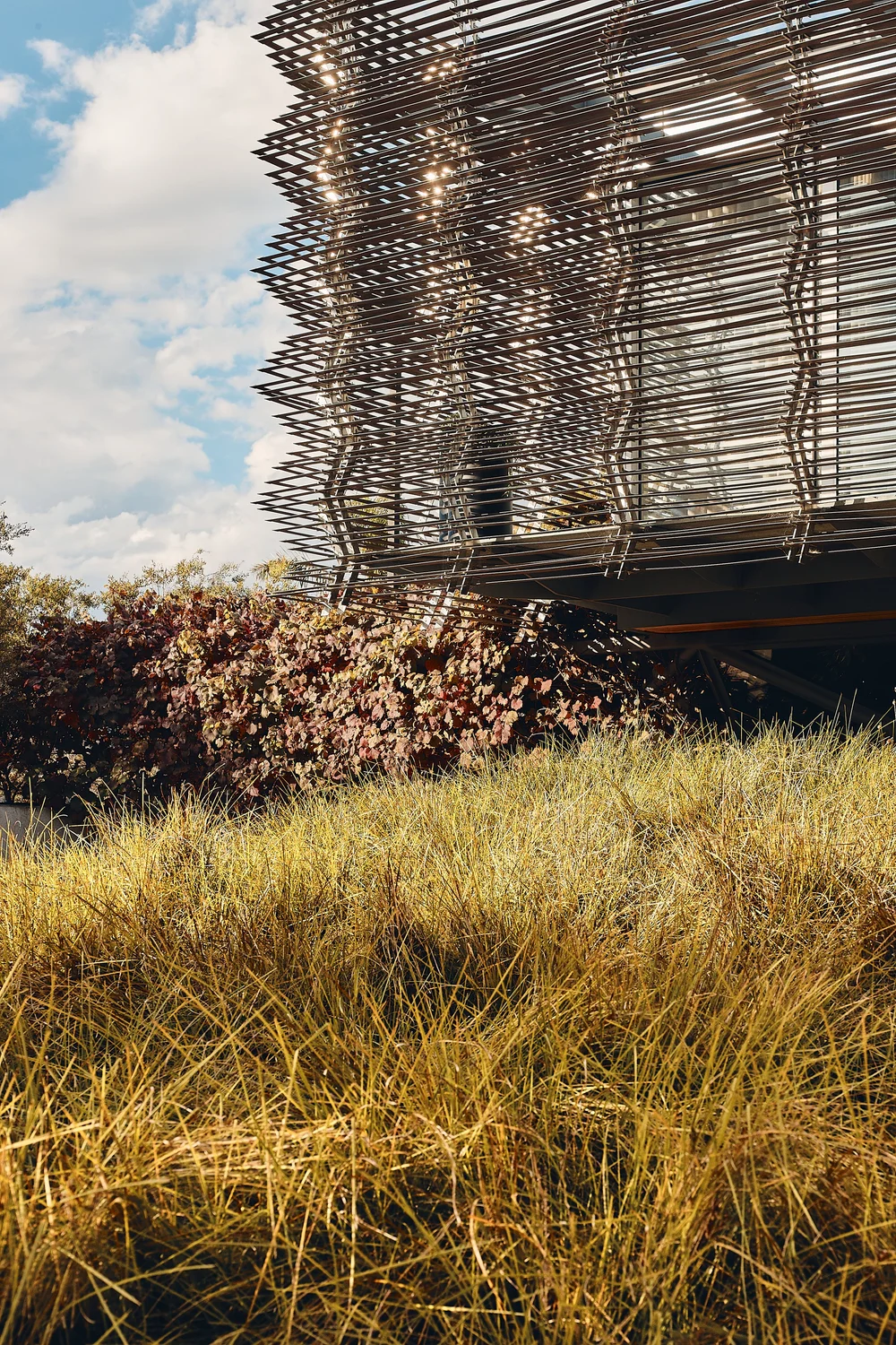 COMPOUND HOUSE — March Studio