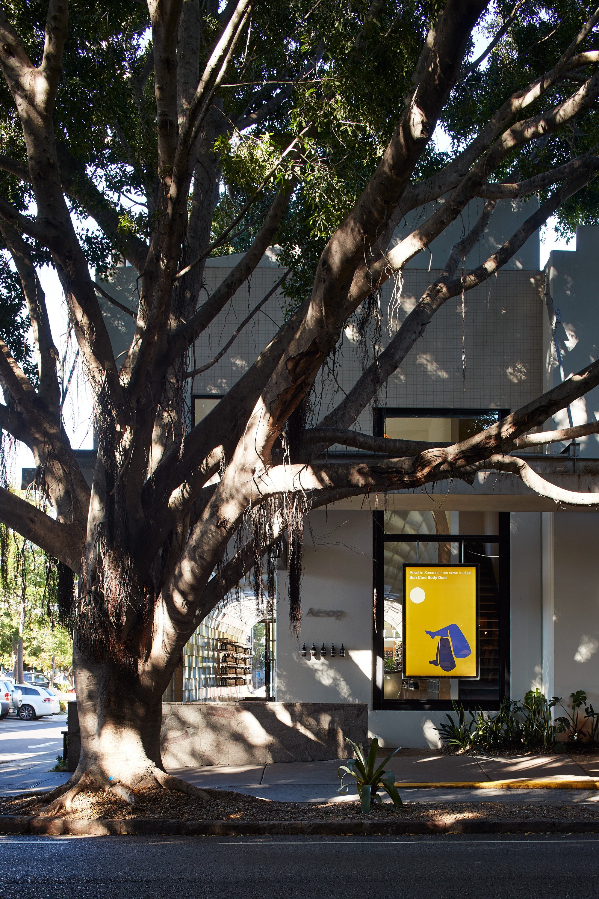 170124 Aesop Fortitude Valley 0568.jpg