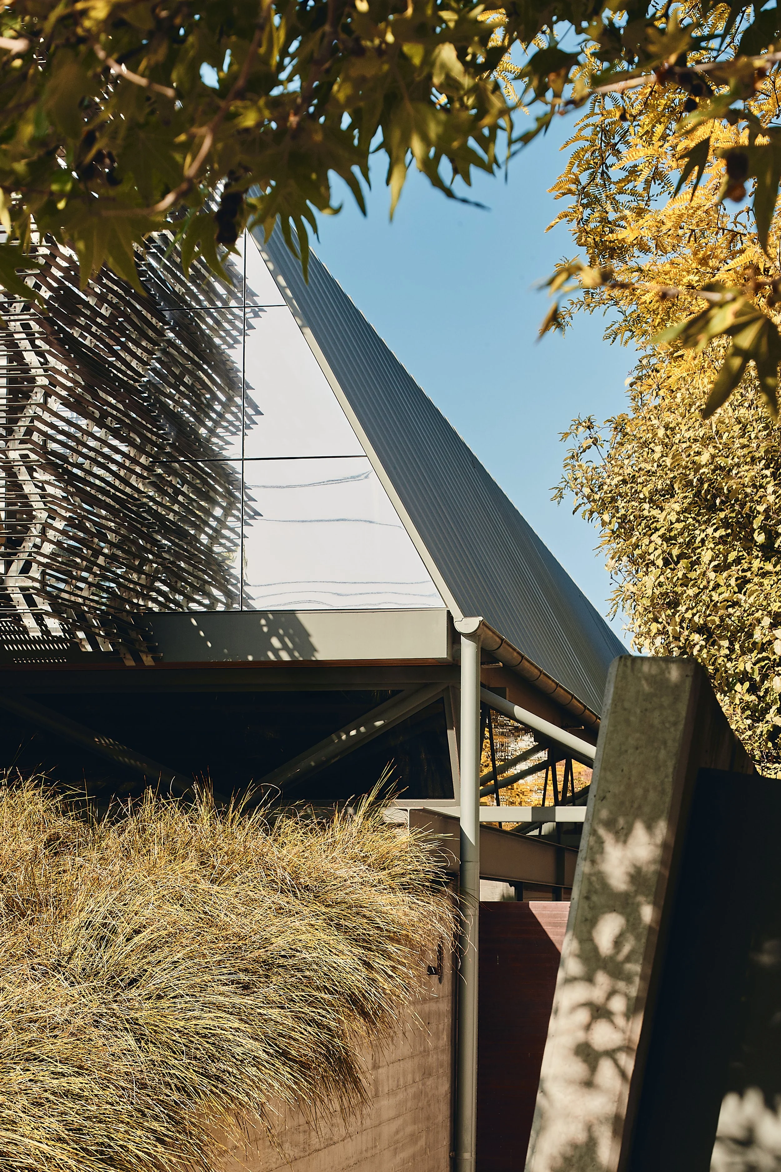 231019 Compound #2 1713.jpg