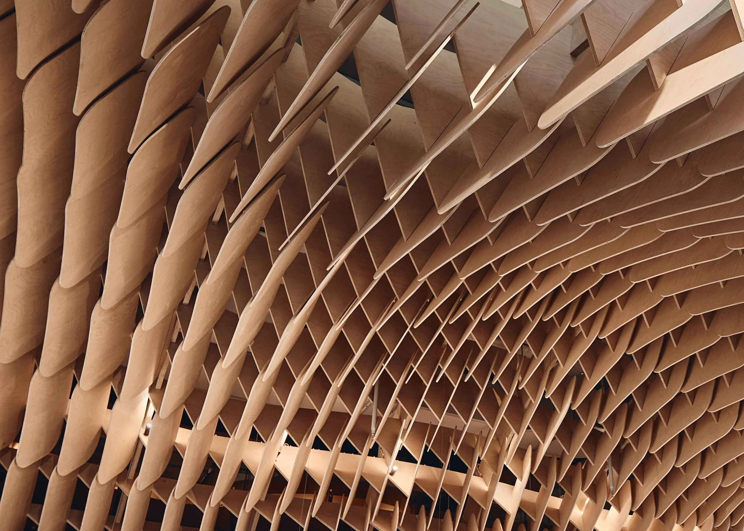 241109 Cavcorp 0694.jpg