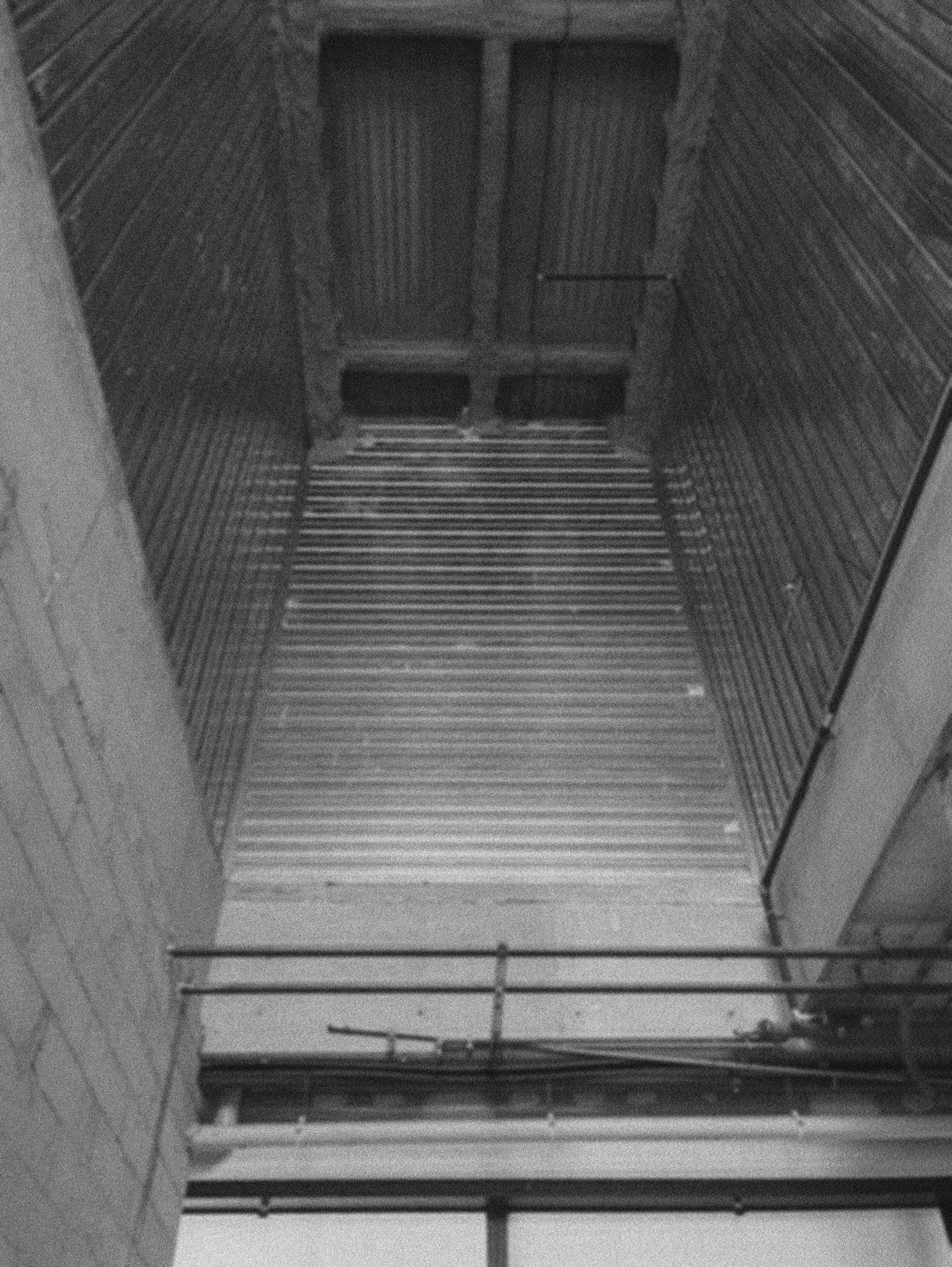 survey 01 Firefly Upscaler 2x scale Firefly Upscaler 4x scale.jpg