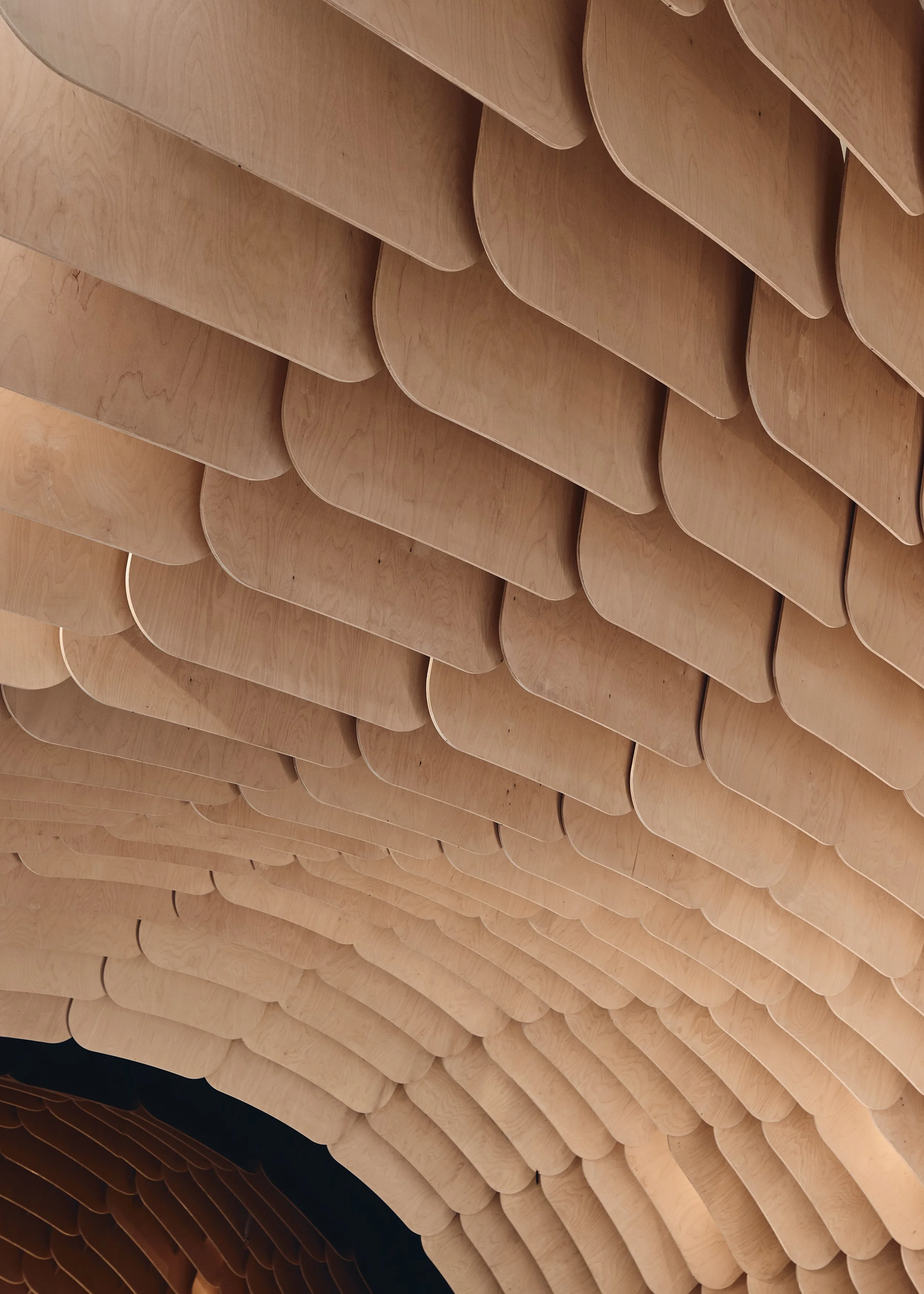 241109 Cavcorp 0166.jpg