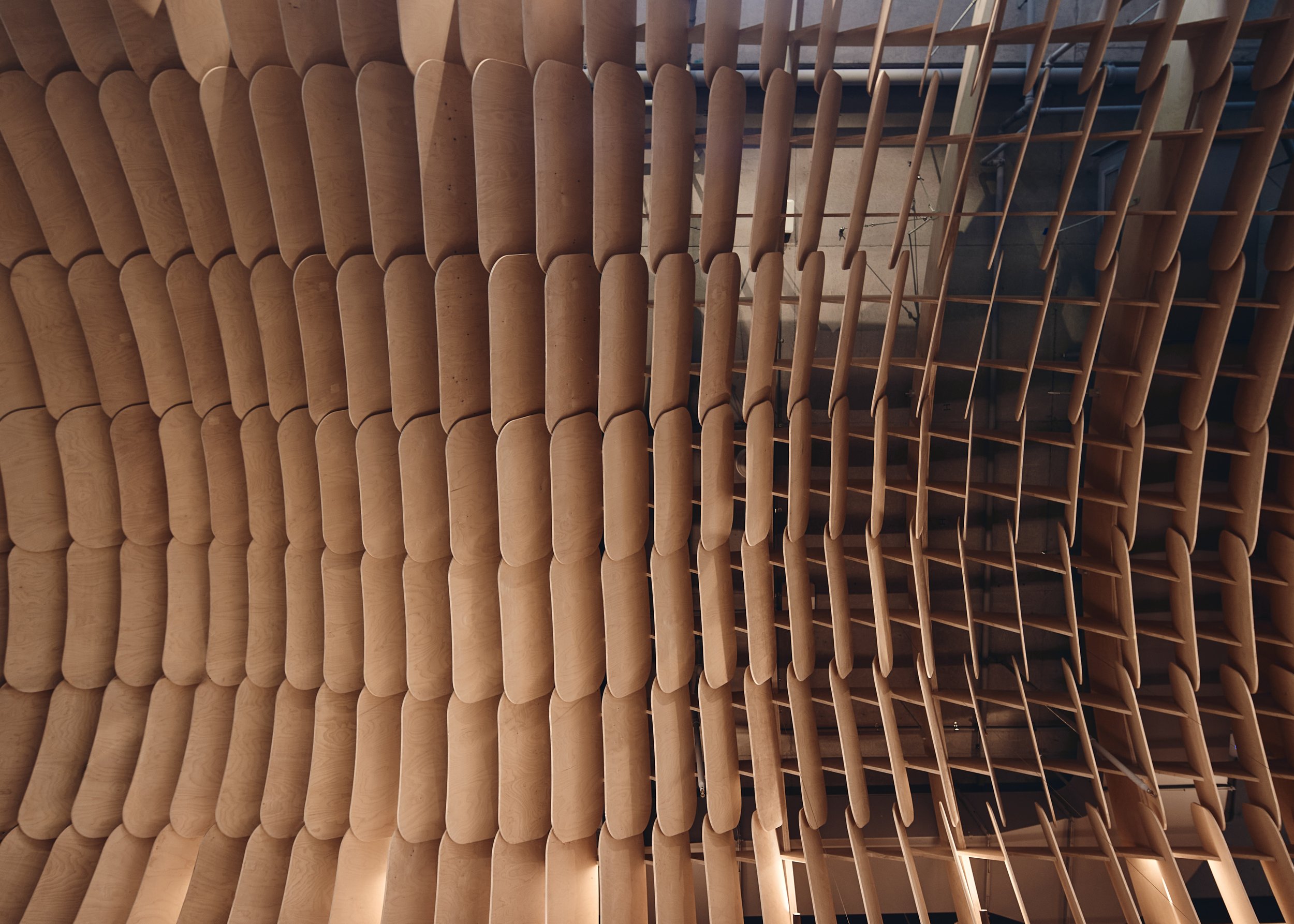 241109 Cavcorp 2552.jpg