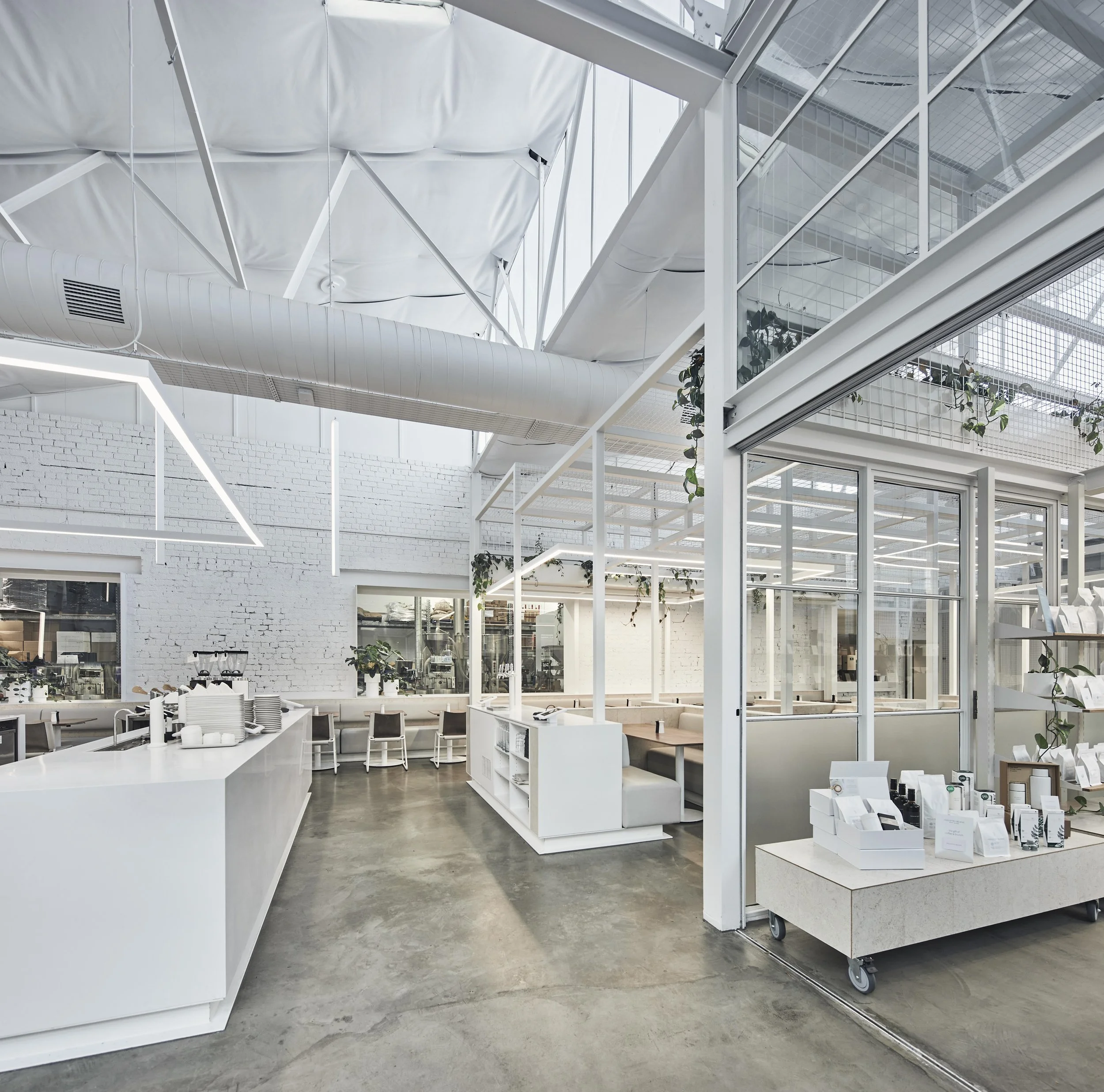 220422 IB Fitzroy 0802+805.jpg