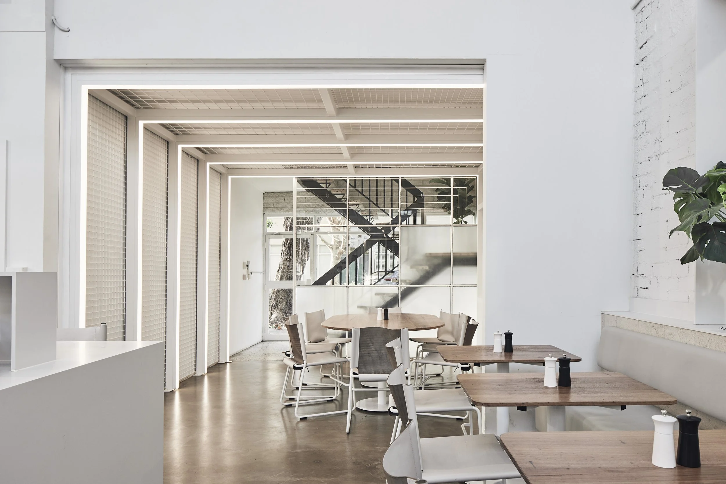 220422 IB Fitzroy 0565.jpg