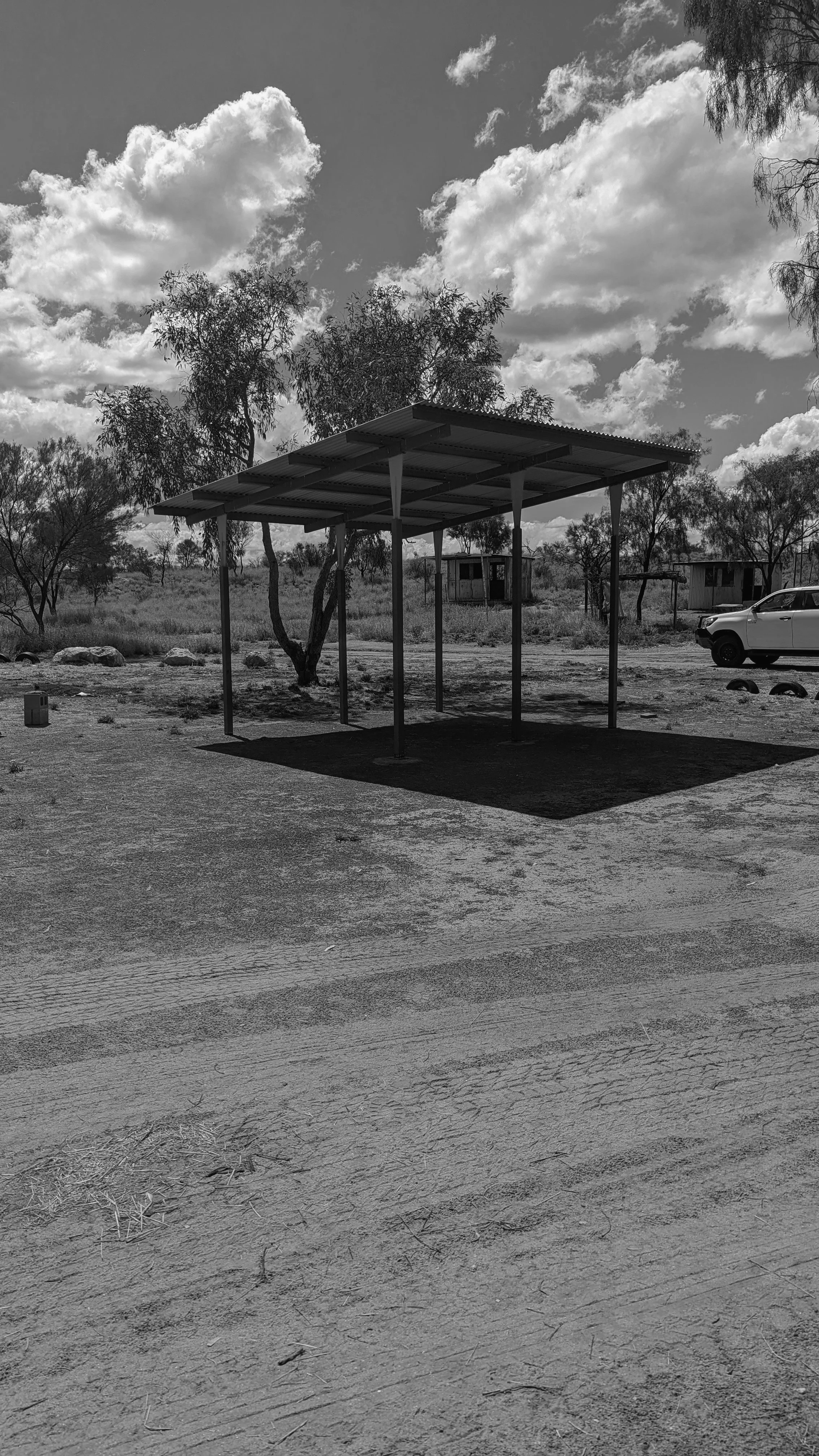 PXL_20230406_034536381 copy.jpg