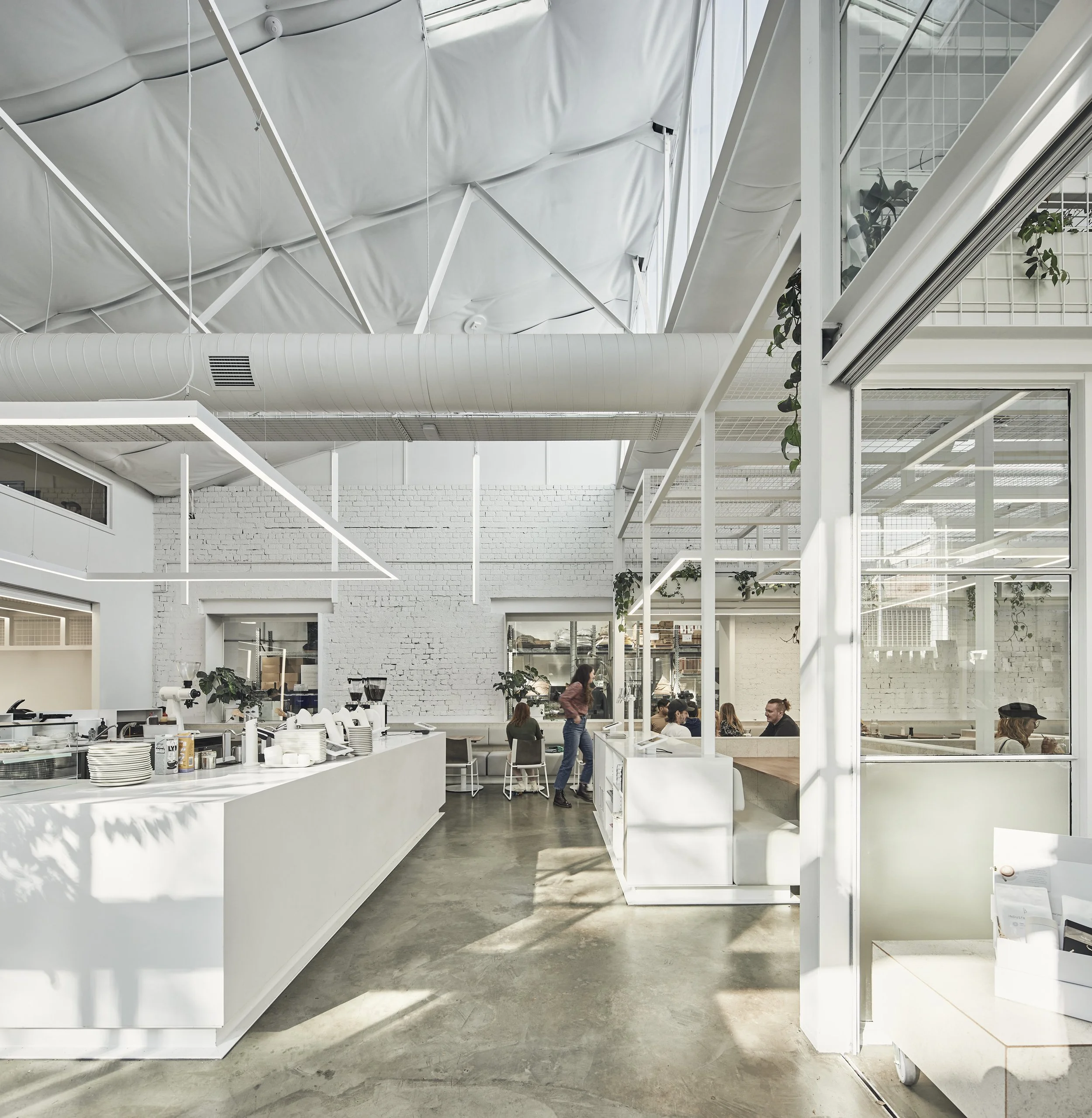 220422 IB Fitzroy 0226+229 - Copy.jpg