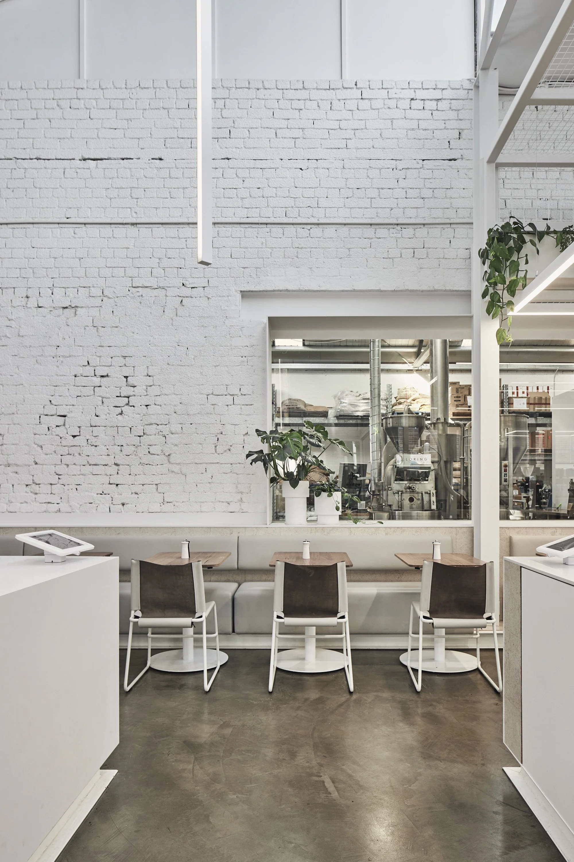 220422 IB Fitzroy 0550.jpg