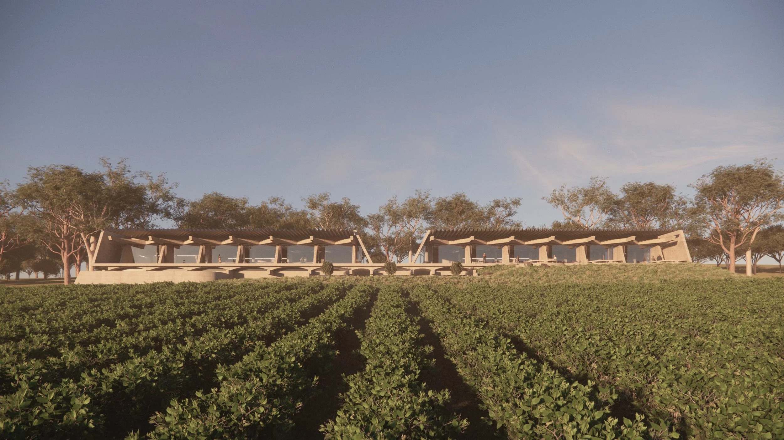 2426_Exterior_Vinyard Elevation.jpg