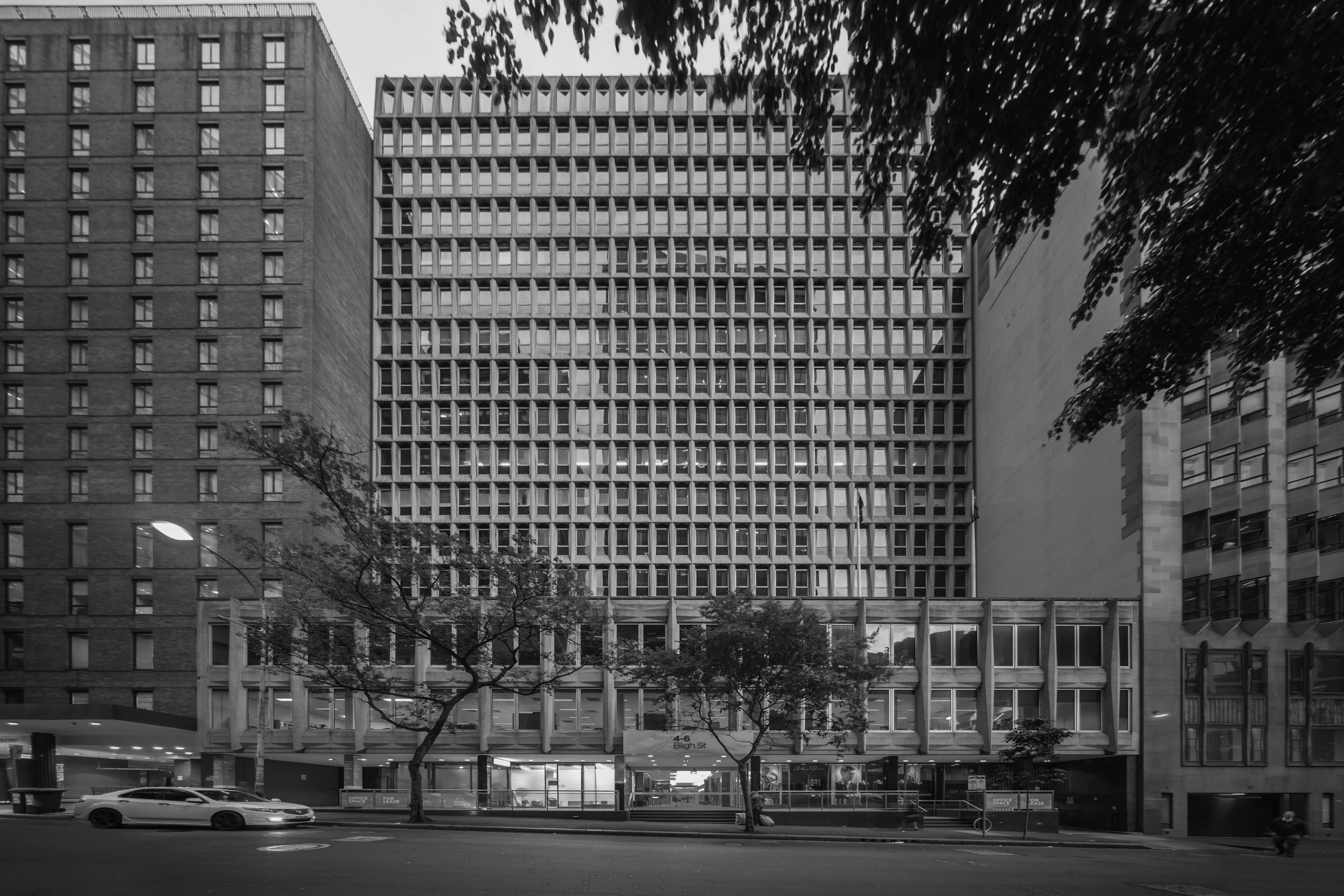 M1001791LR-2a copy.jpg