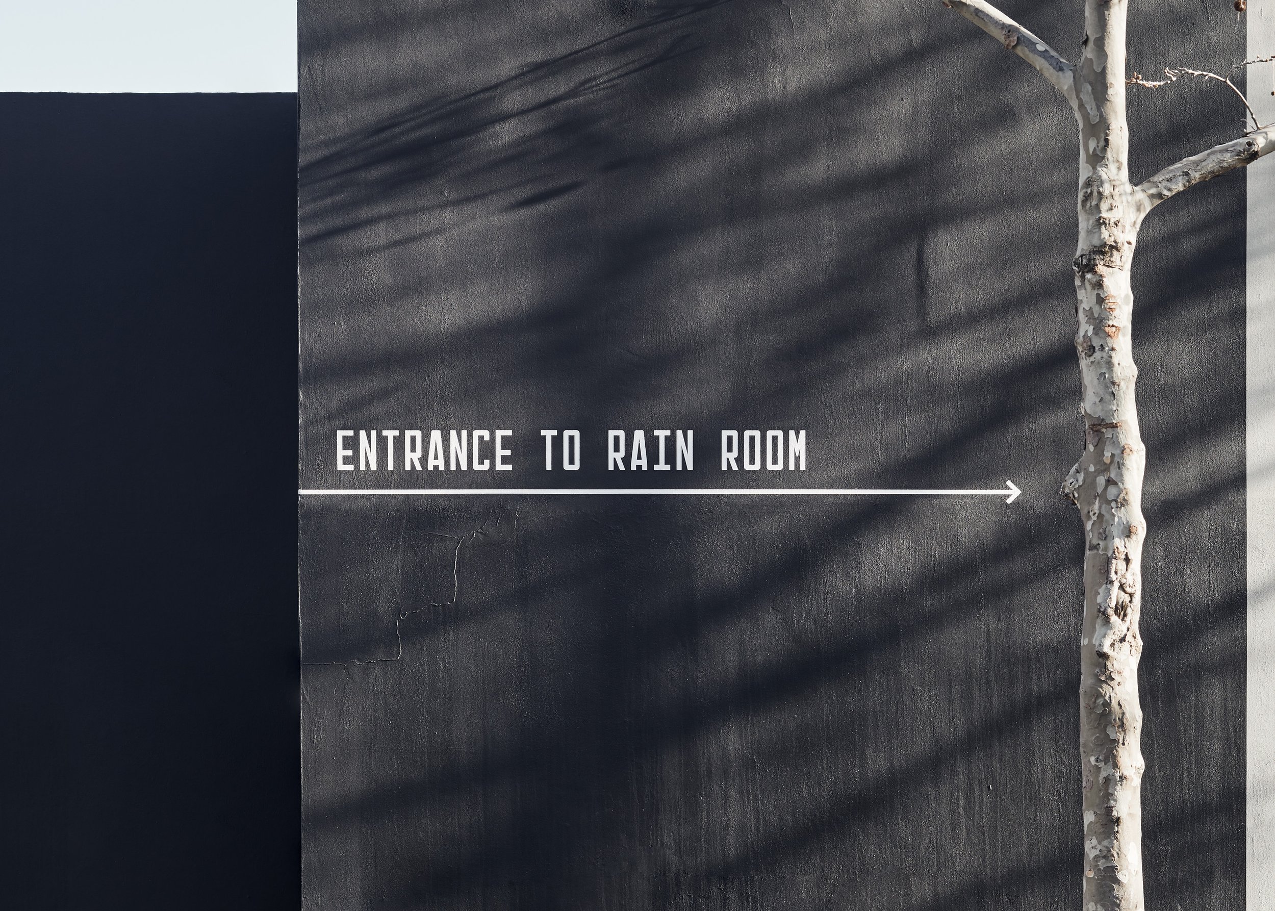 190829 Rain Room 0085.jpg