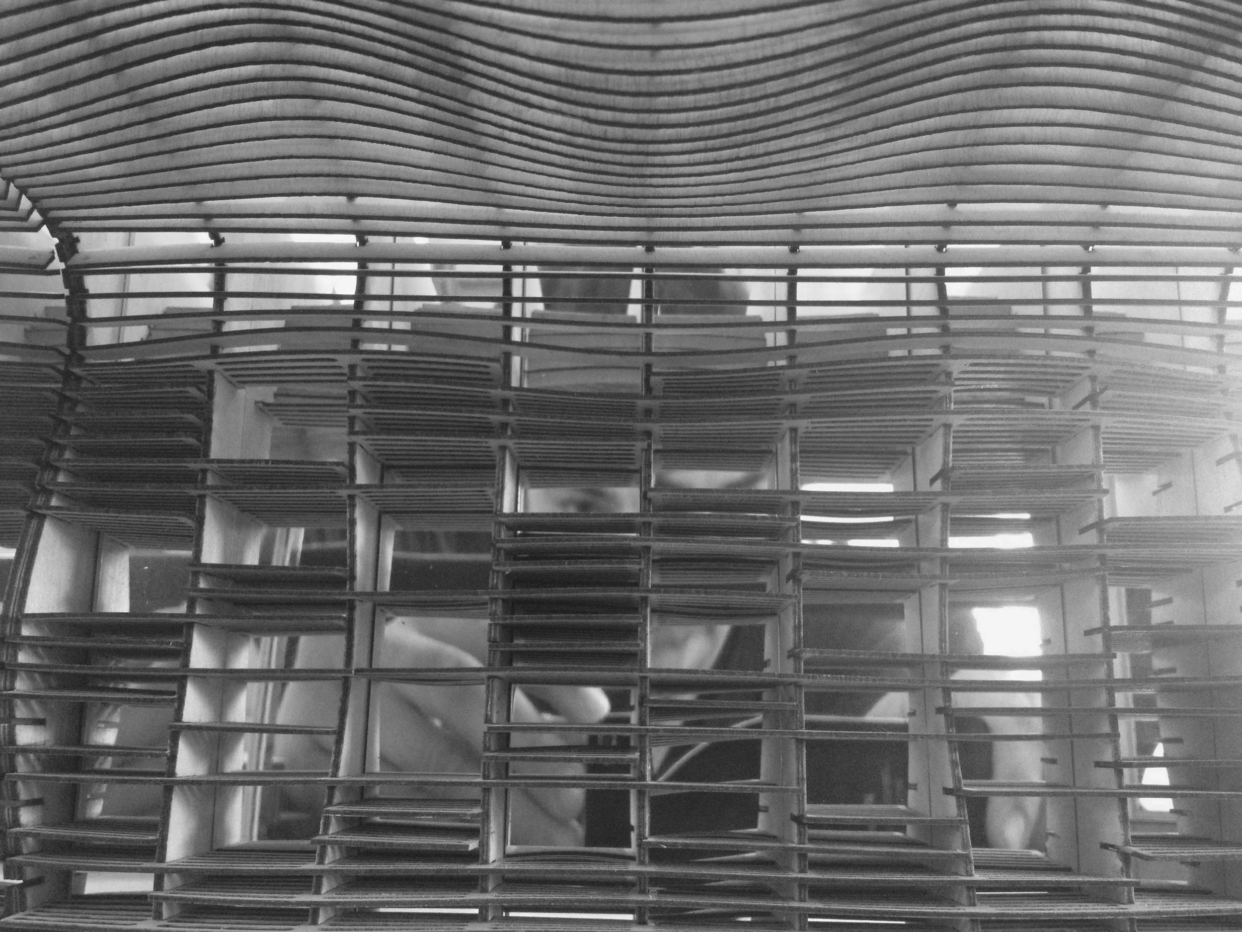 2012-12-17 14.56.37 copy.jpg