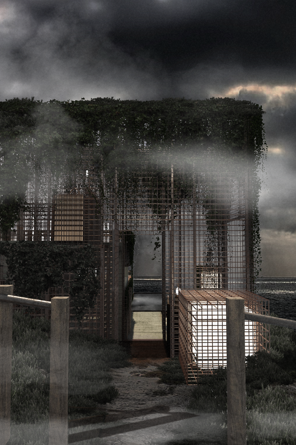 Seedsman-Entry - 5 years on .png