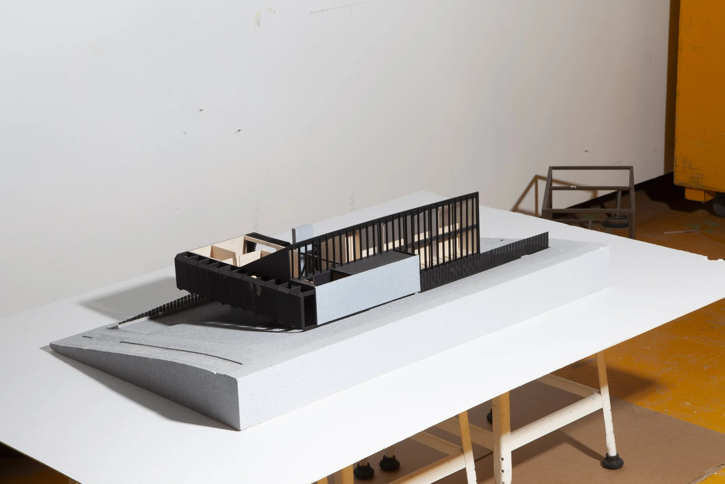 Untitled Session7710 copy.jpg