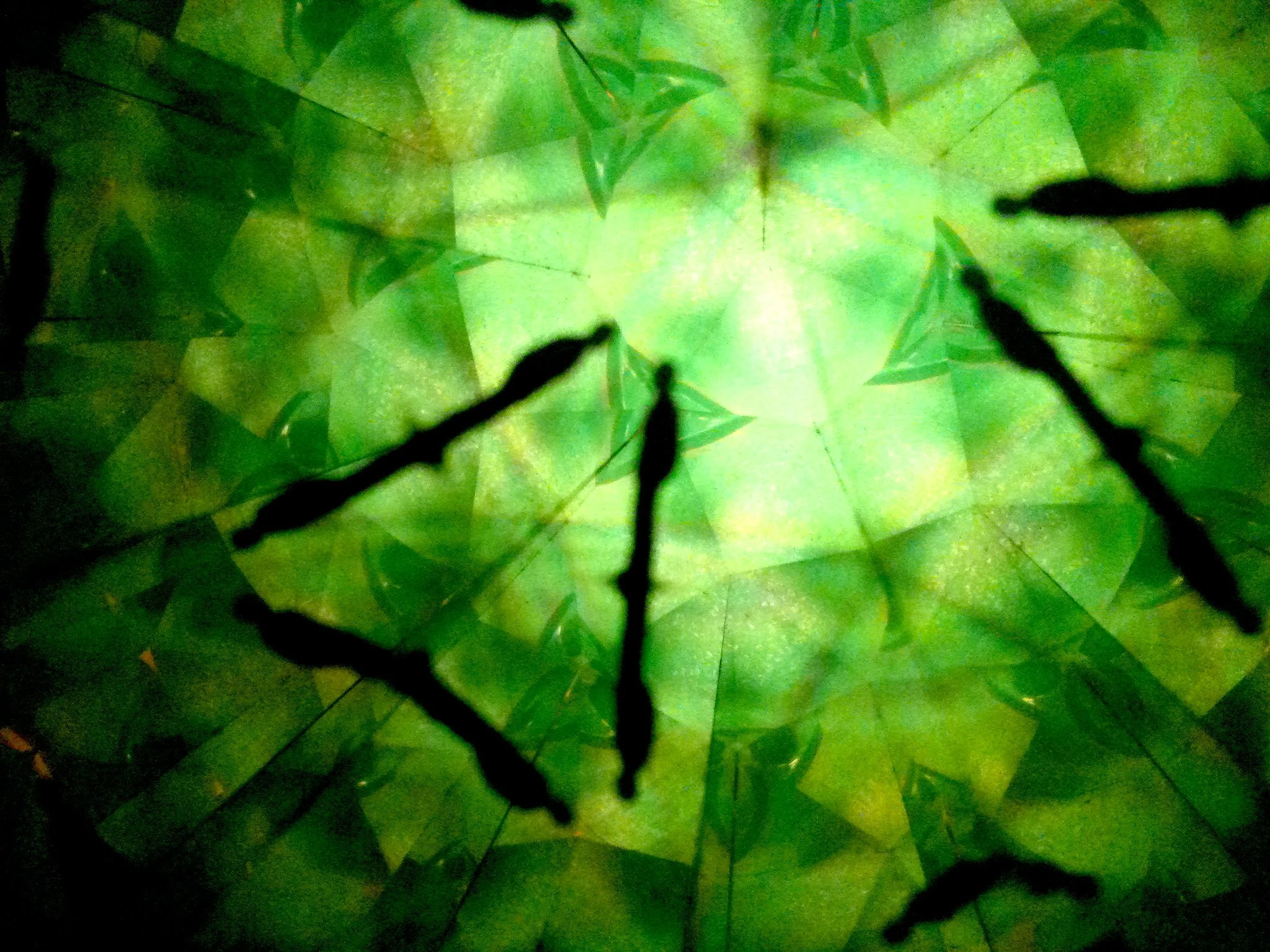 Kaleidoscope (34).JPG