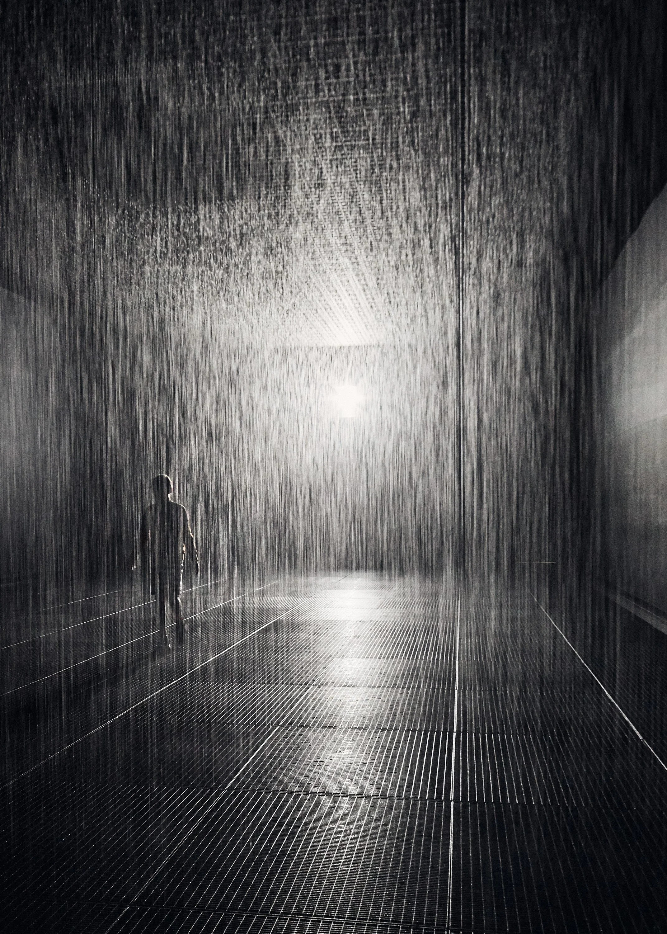 191020 Rain Room 2912.jpg