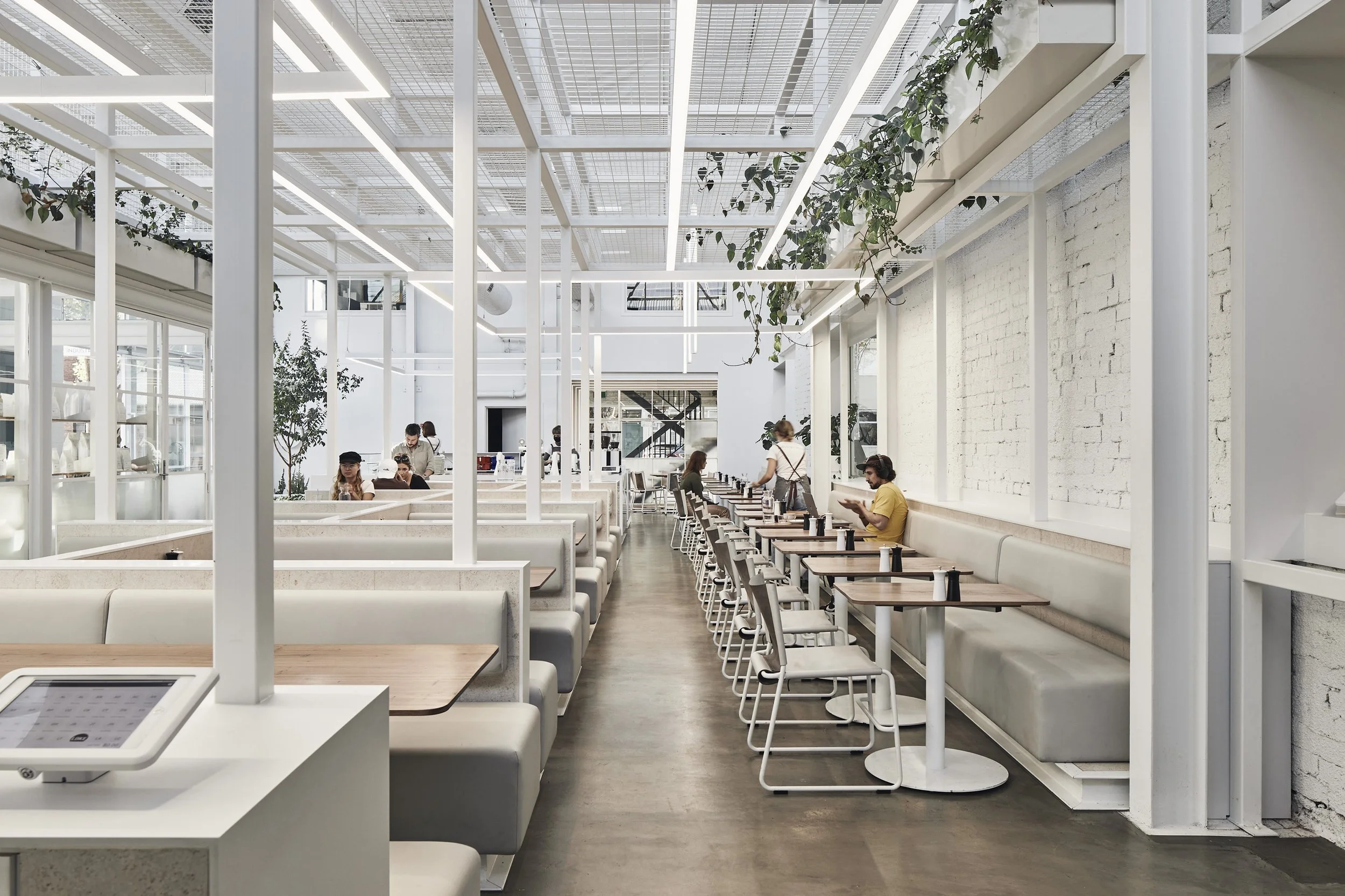 220422 IB Fitzroy 0432.jpg