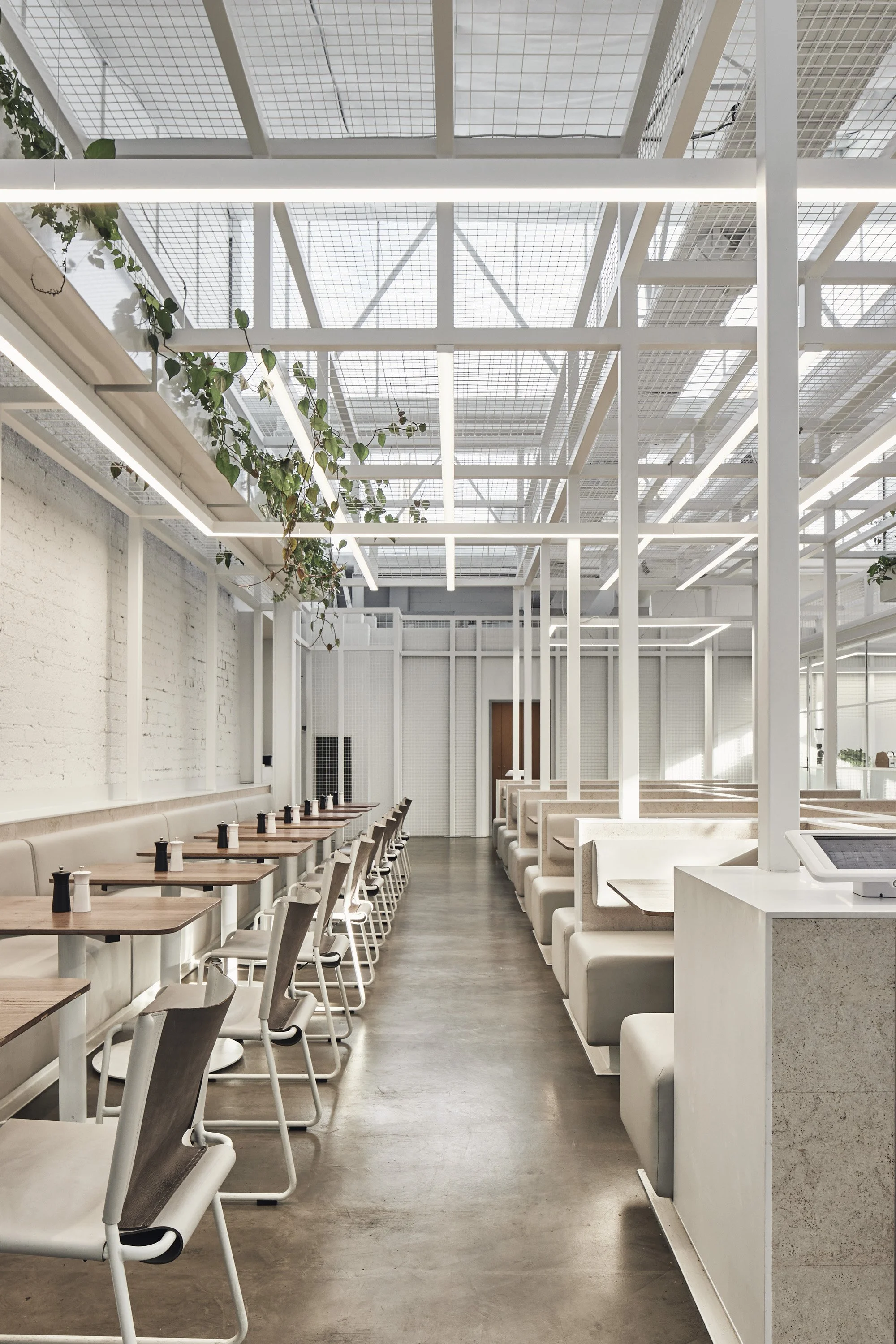 220422 IB Fitzroy 0604.jpg