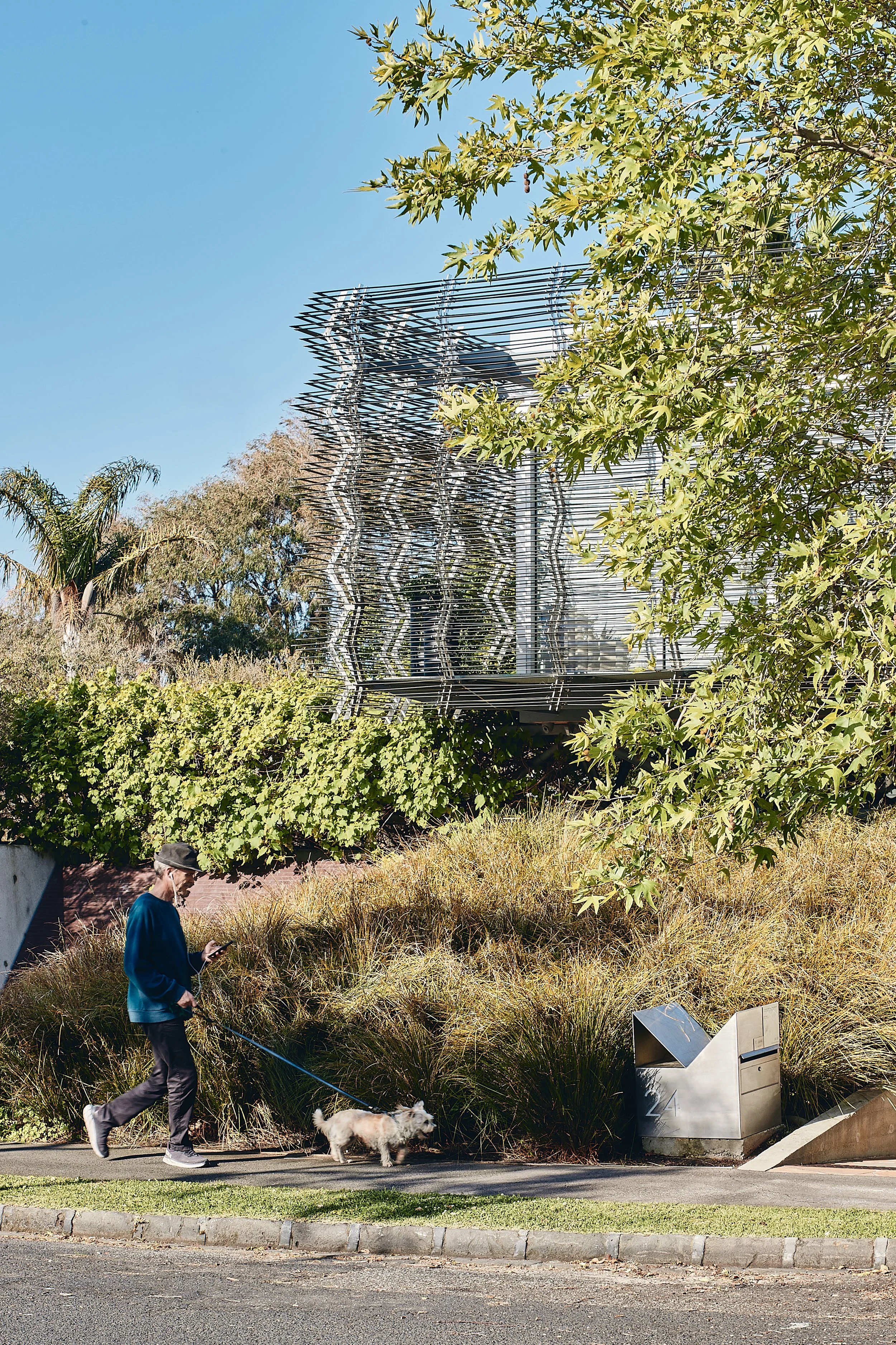 231019 Compound #2 1744.jpg