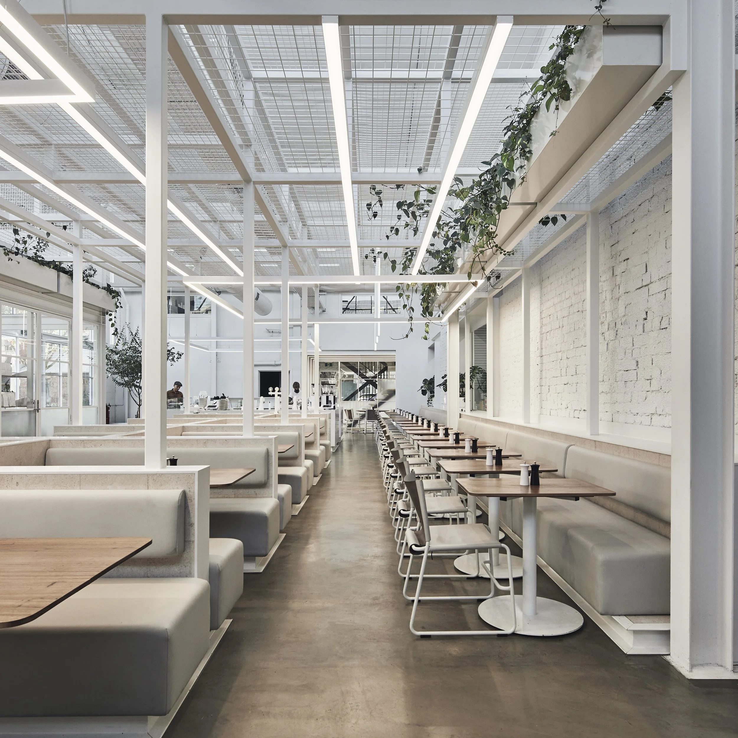 220422 IB Fitzroy 0686+689.jpg