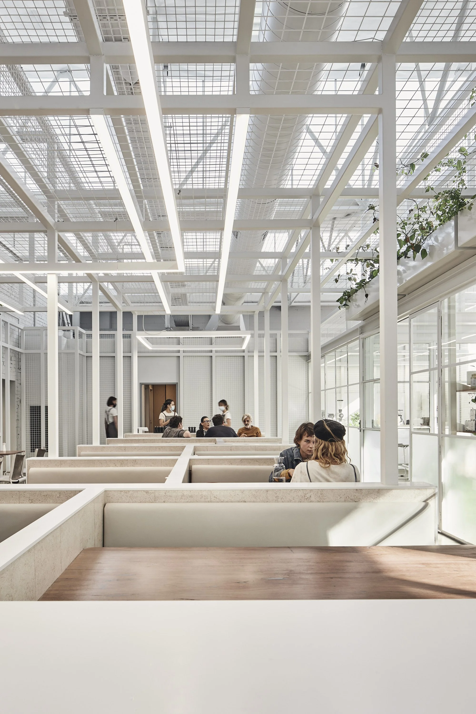 220422 IB Fitzroy 0291.jpg