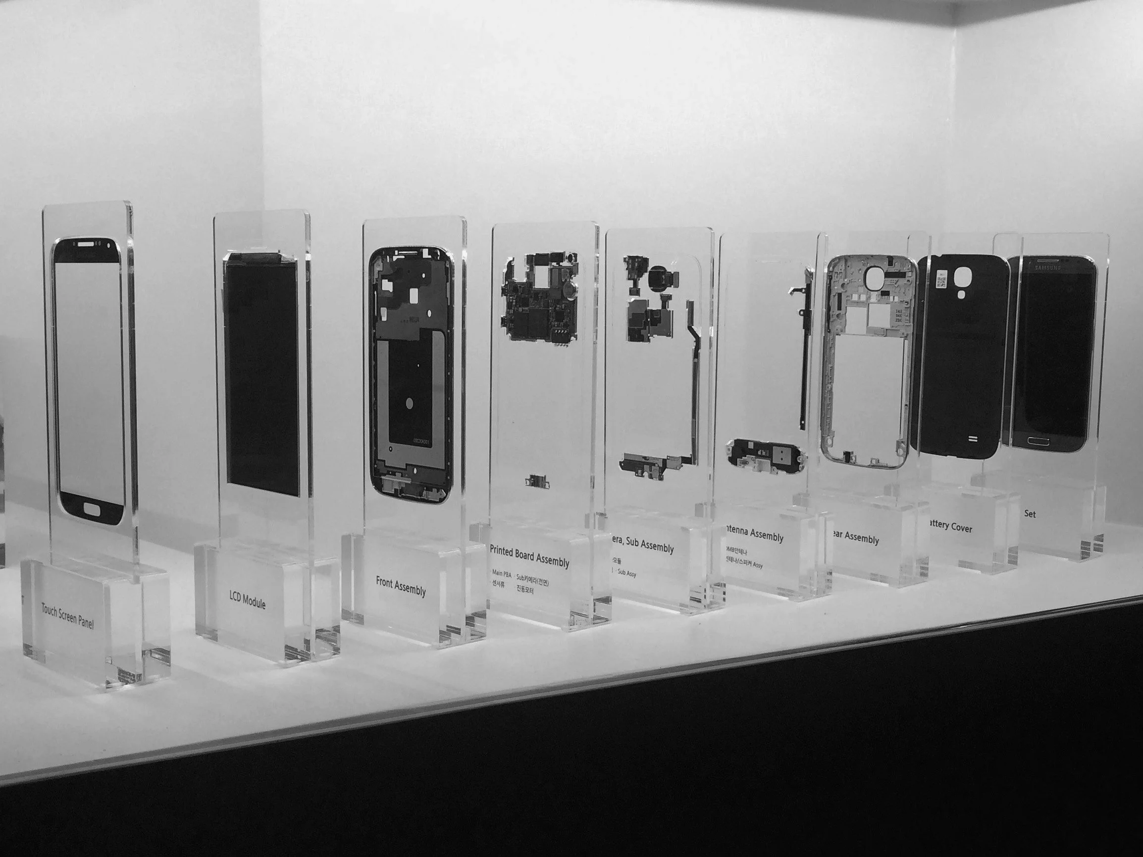 2015-04-08 14.01.49_a copy.jpg