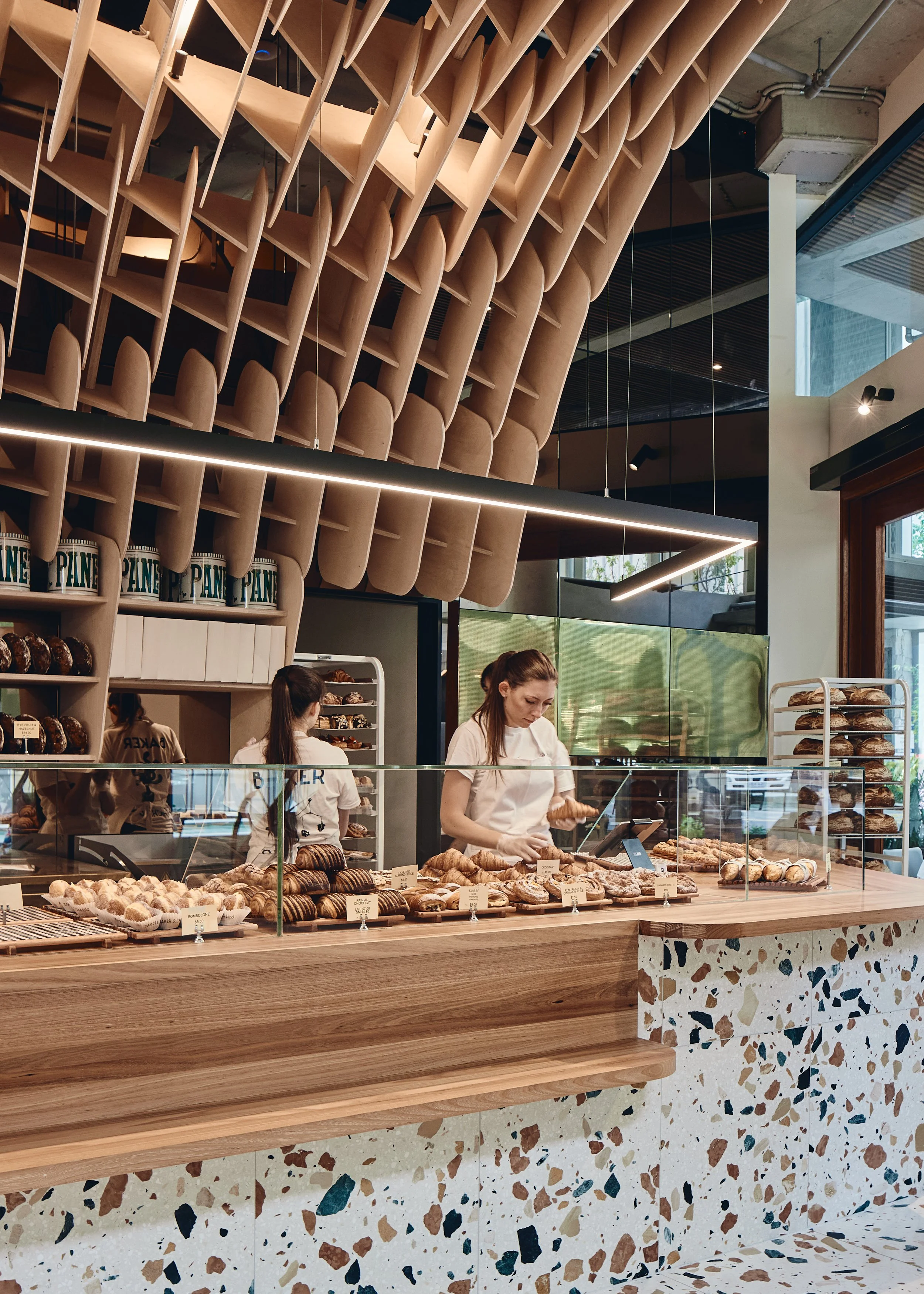 241109 Cavcorp 0091.jpg