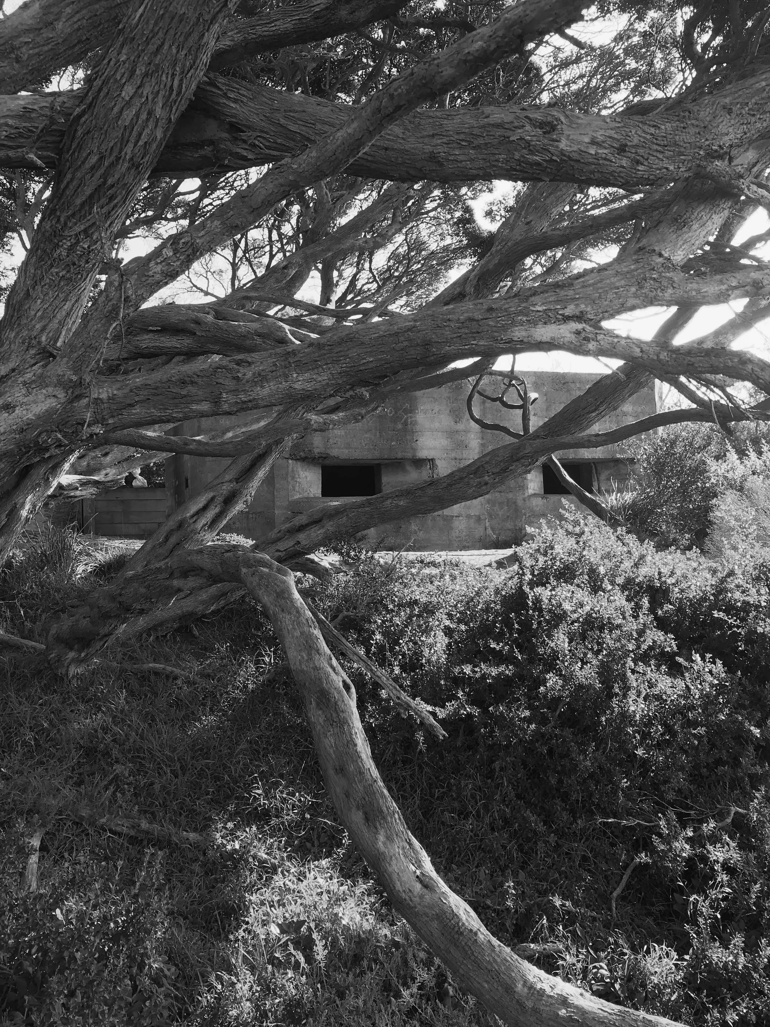 2020-07-29 12.16.16 HDR copy.jpg