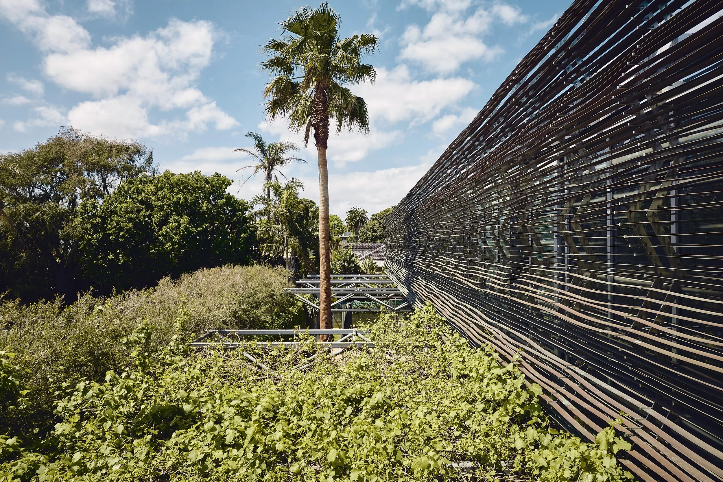 231019 Compound #2 2118.jpg