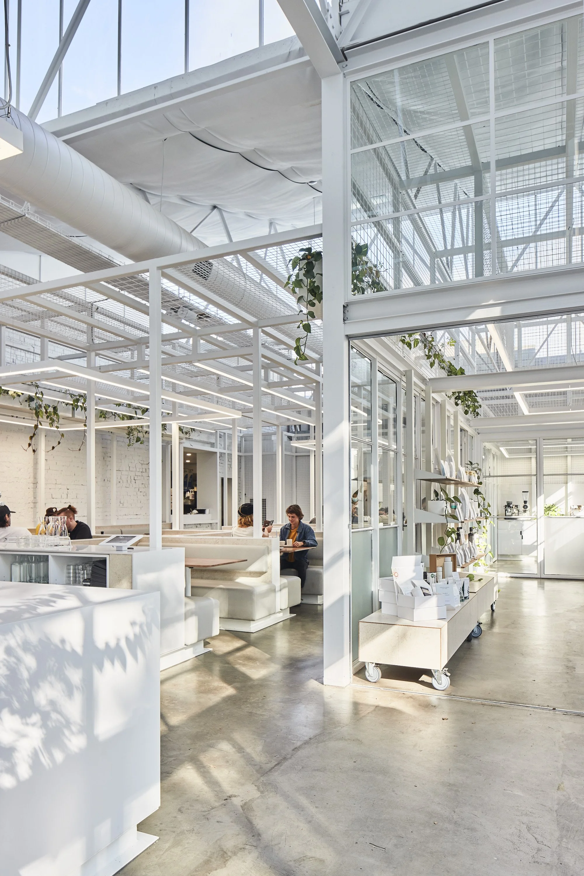 220422 IB Fitzroy 0190.jpg