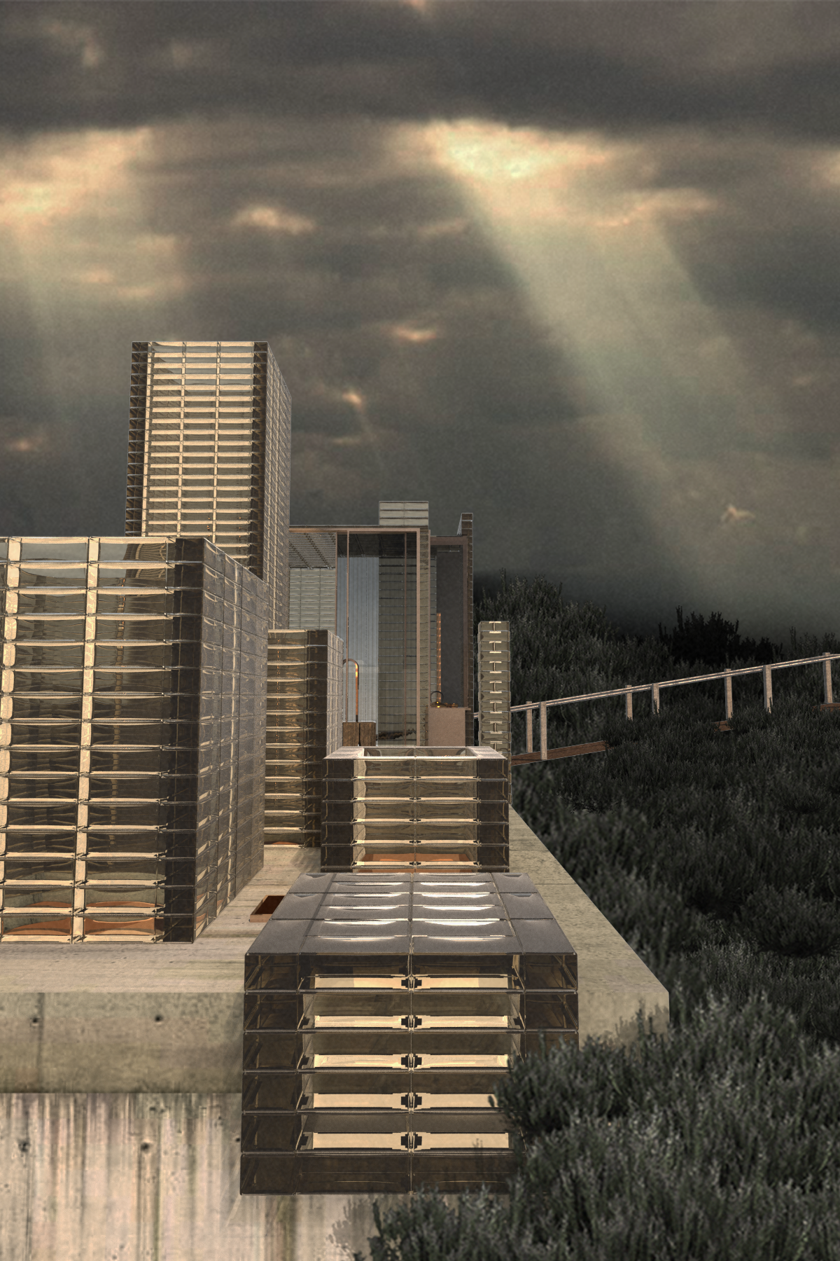 seedsman-tea room.png