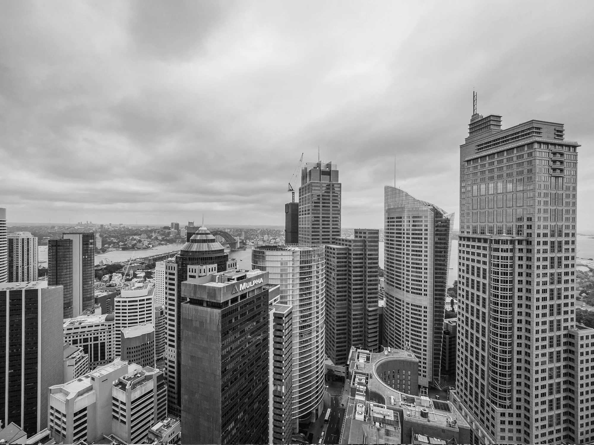 _C041638LR_02 copy.jpg