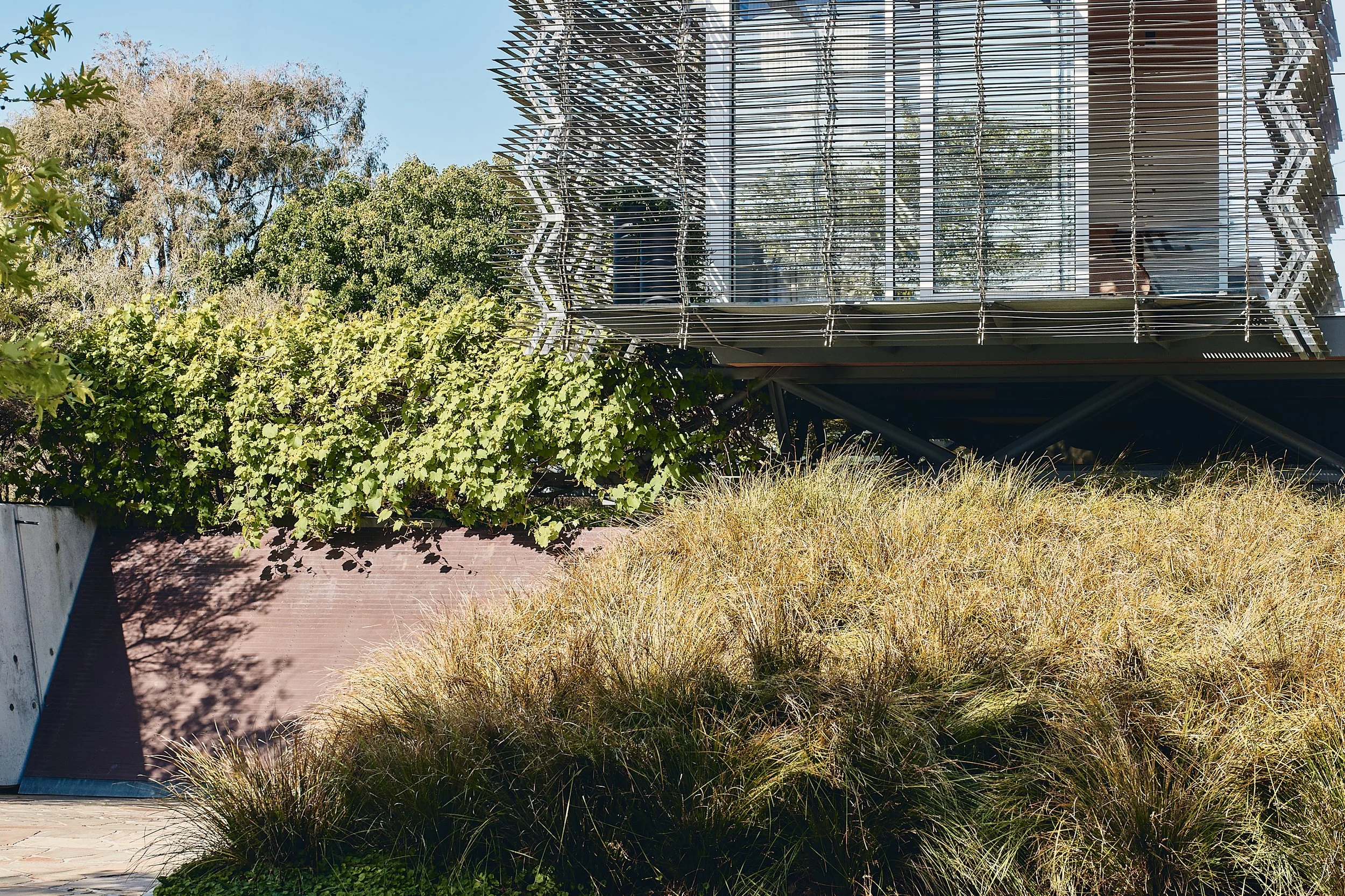 231019 Compound #2 1516.jpg