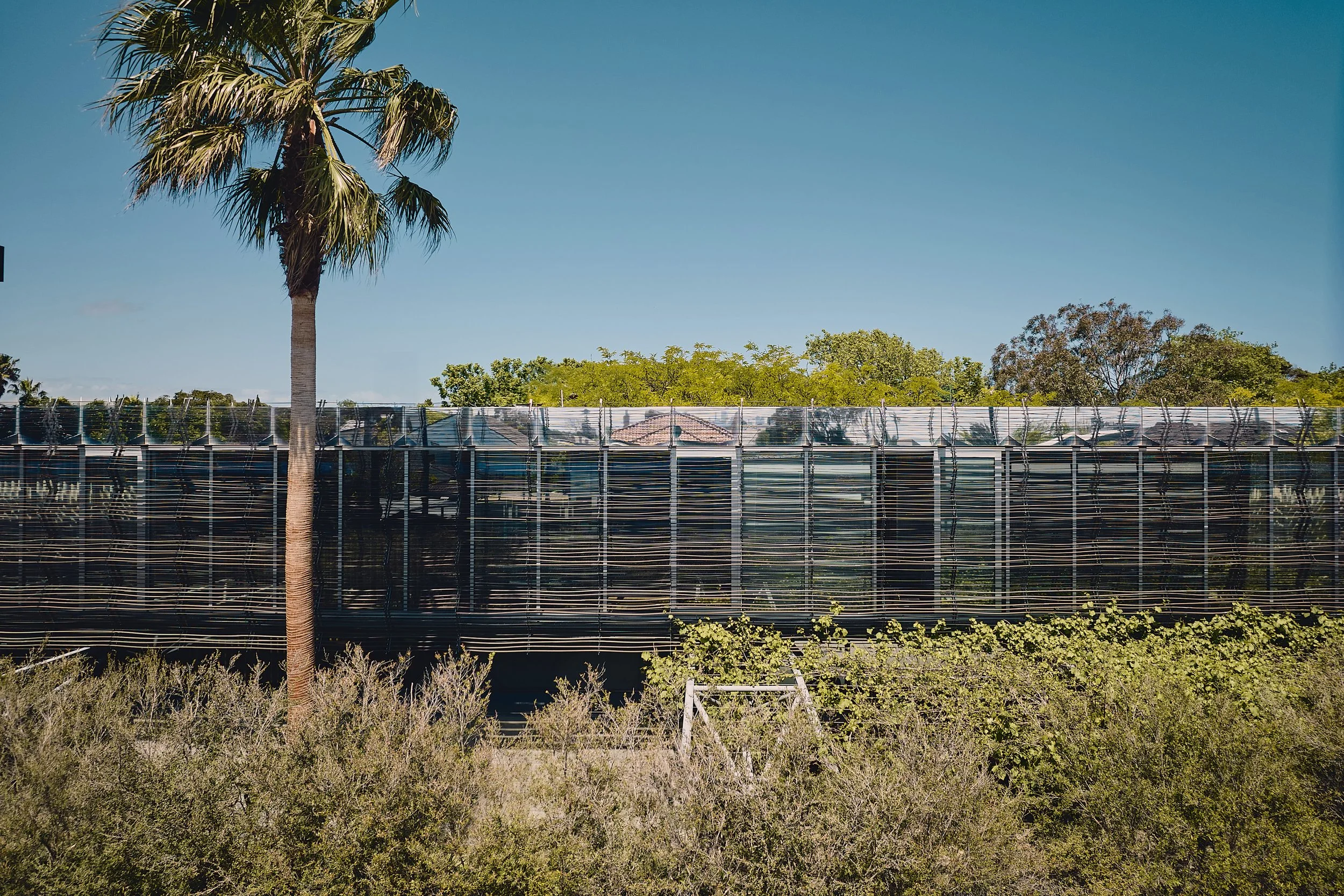 231019 Compound #2 1956.jpg