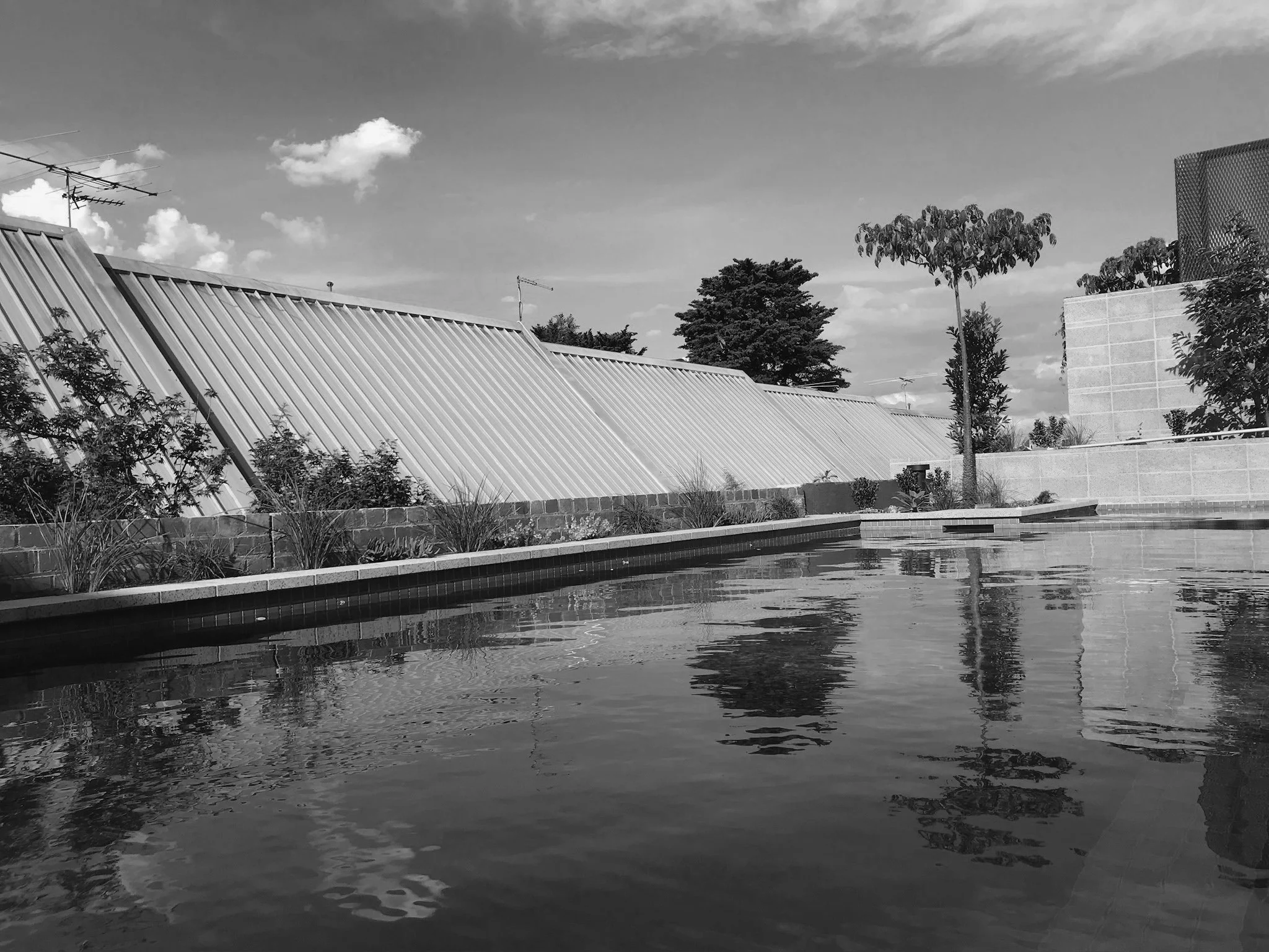 IMG_1993(1) copy.jpg