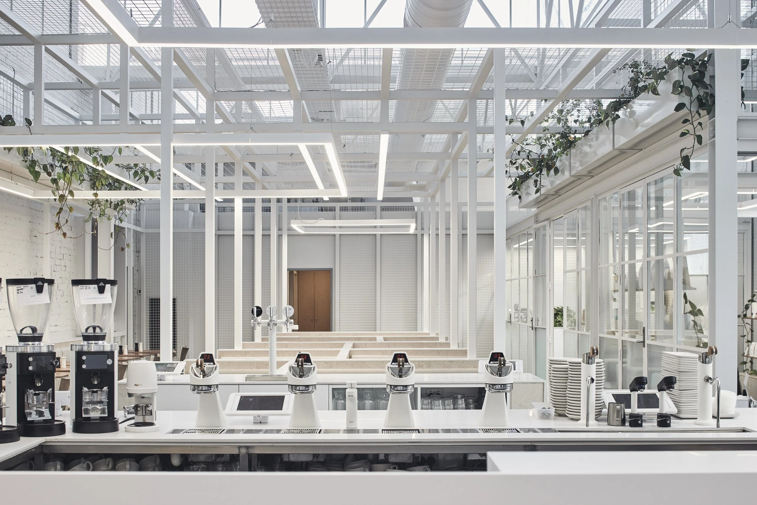 220422 IB Fitzroy 0772.jpg