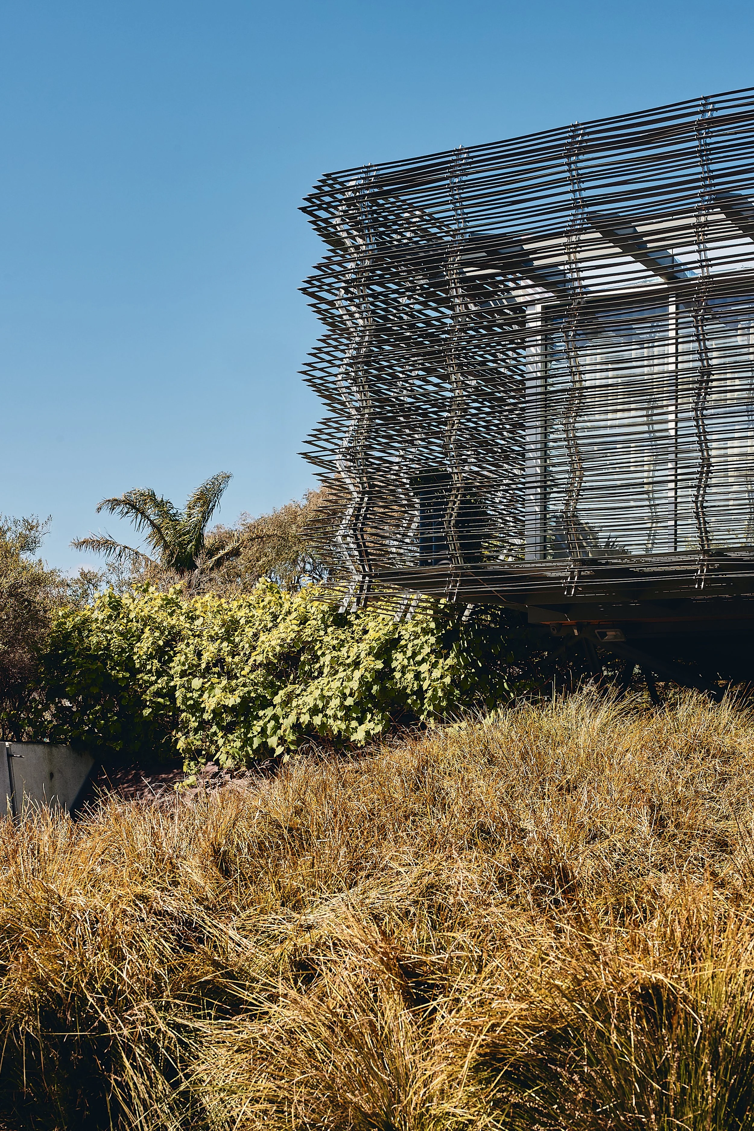 231019 Compound #2 1396.jpg