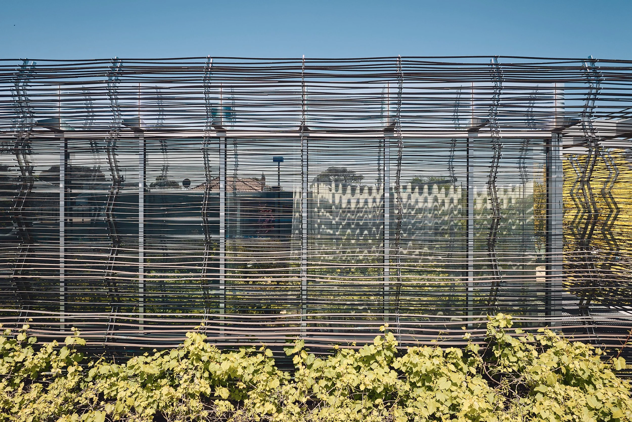 231019 Compound #2 1893.jpg