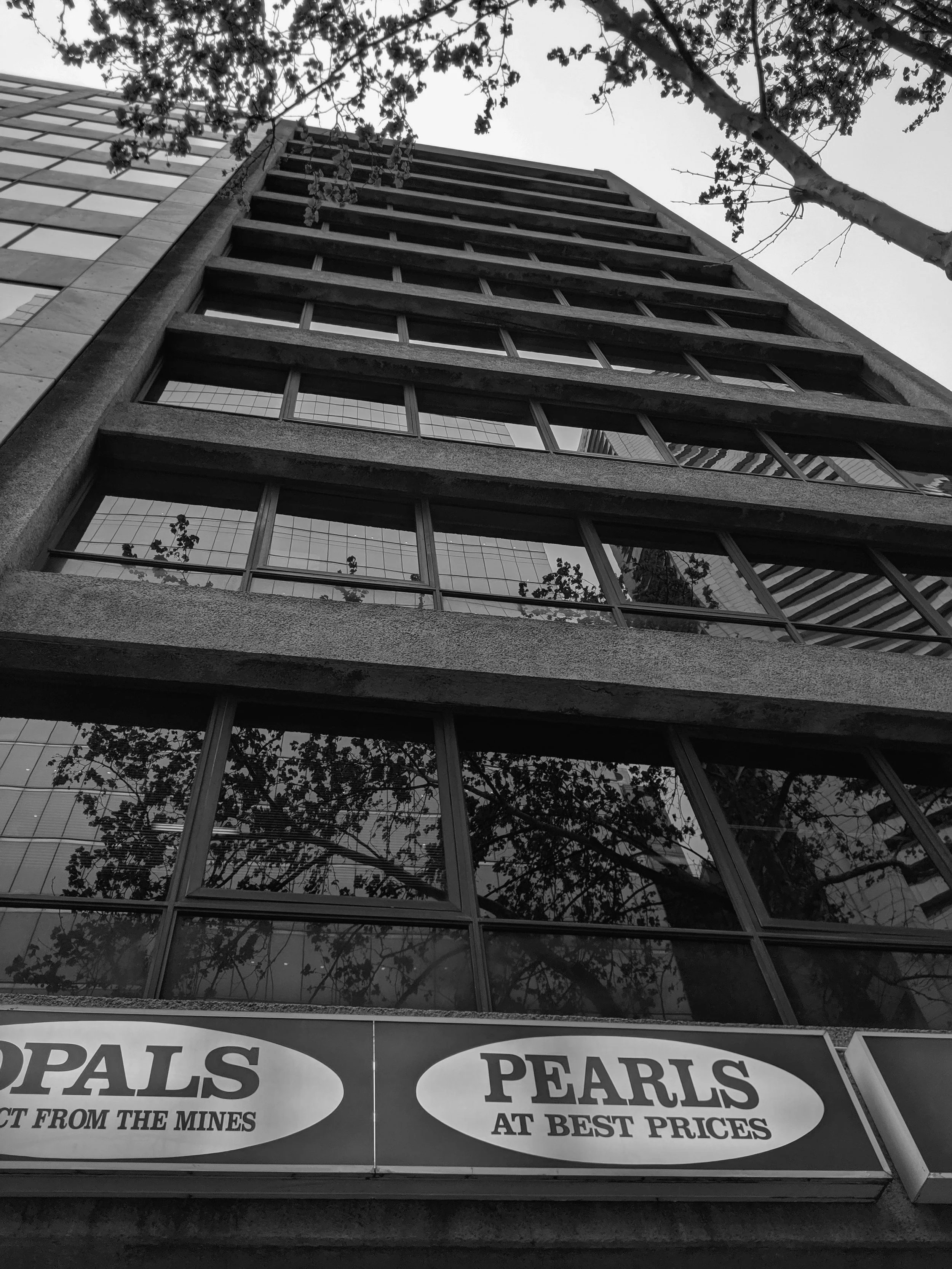 IMG_20191004_125212 copy.jpg