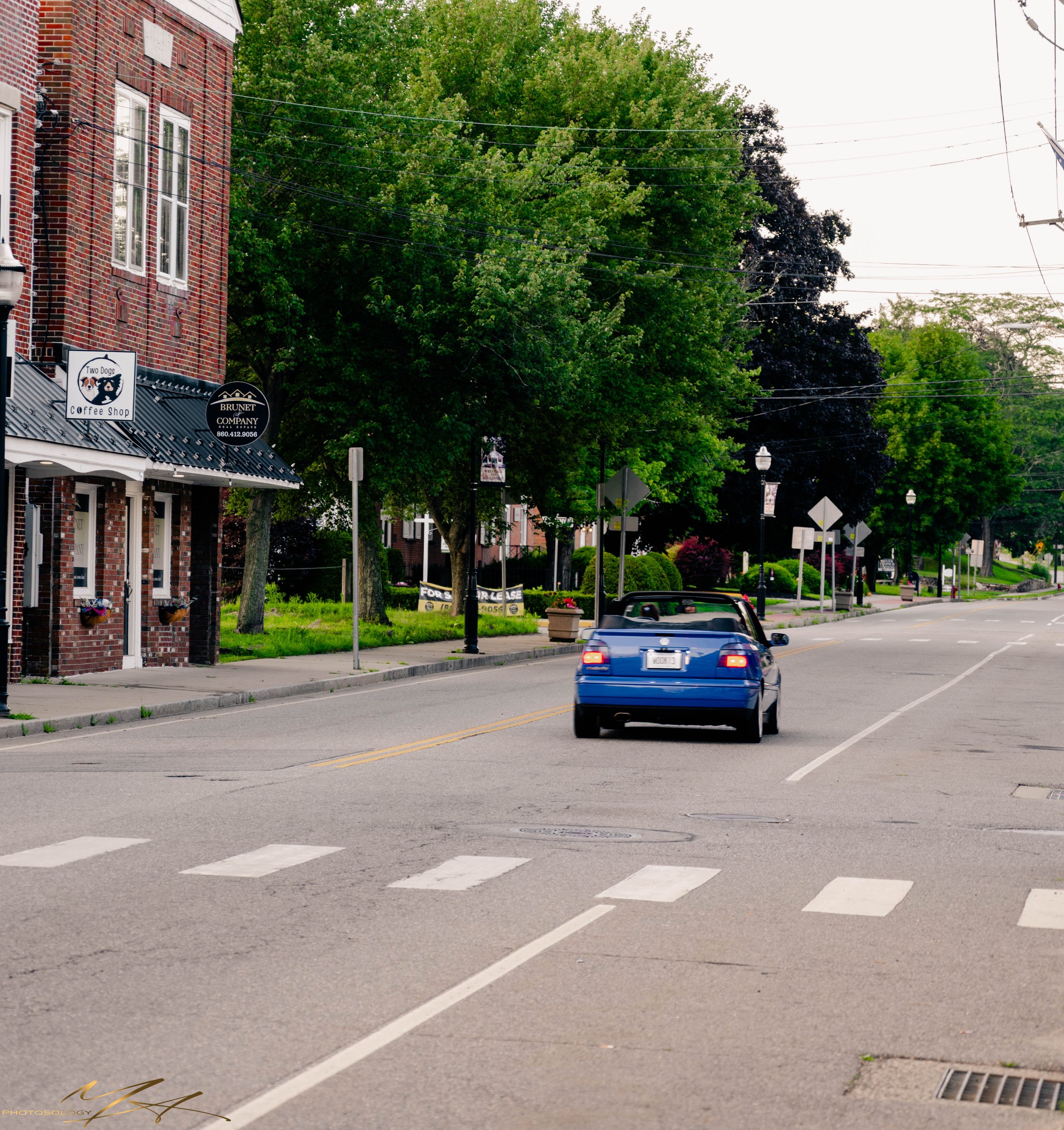 DSC_8186.jpg