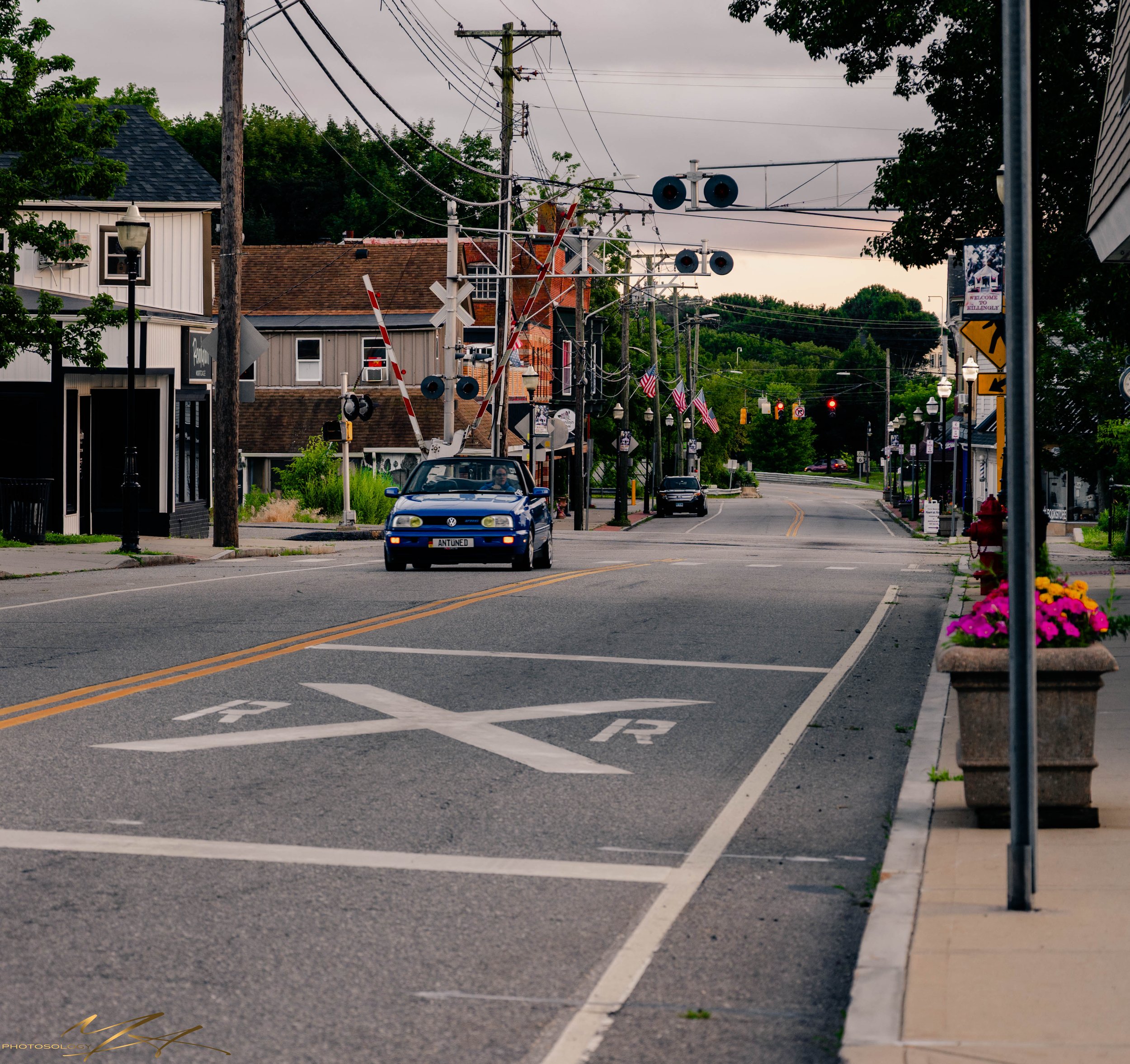 DSC_8243.jpg