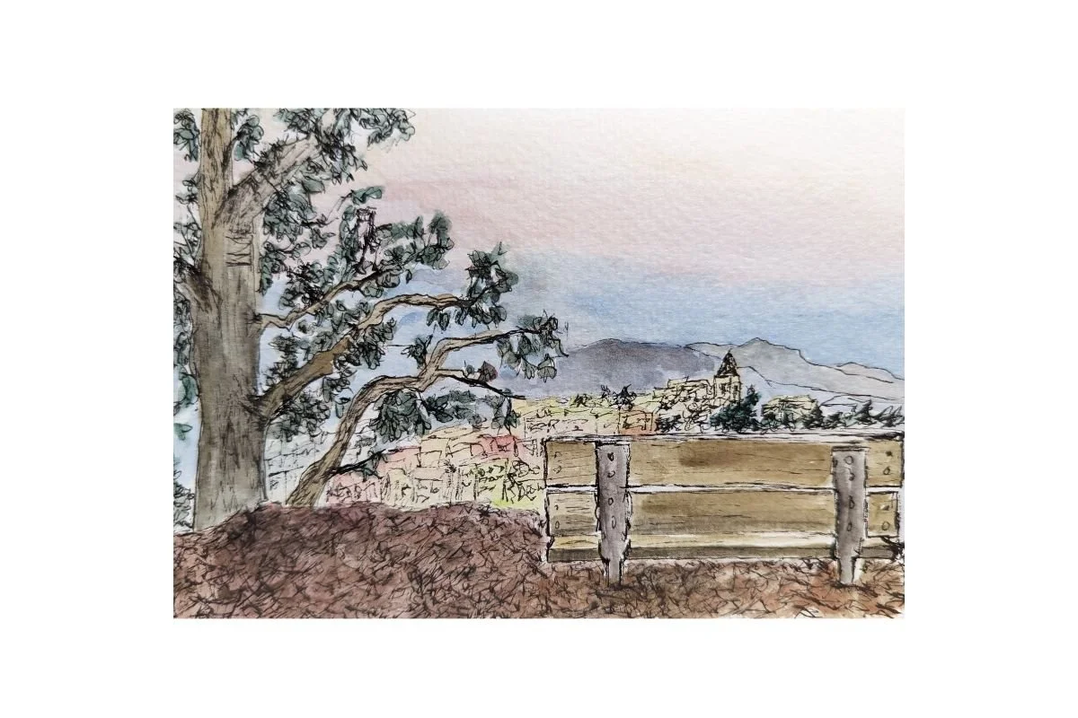 postcard #14 berkeley hills 