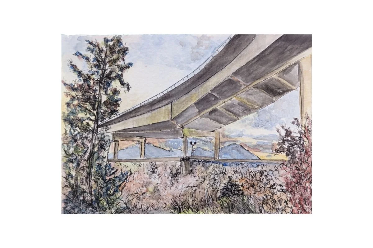 postcard #15 shasta lake highway