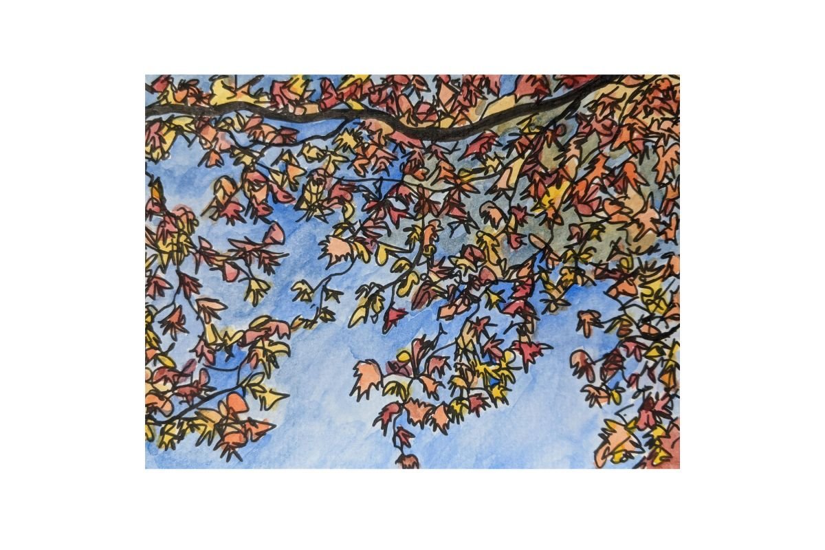 postcard #5 fall leaves