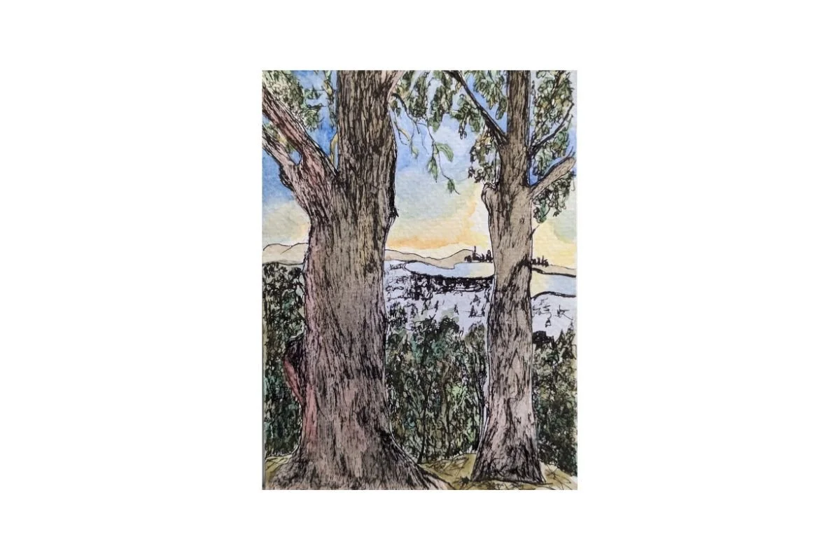 postcard #9 berkeley hills