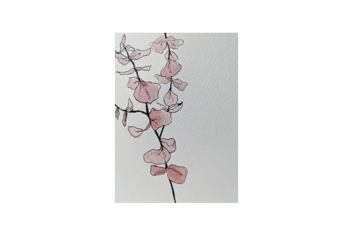 postcard #3 eucalyptus