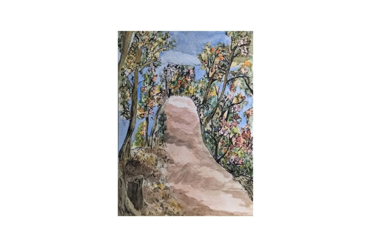 postcard #8 berkeley hills