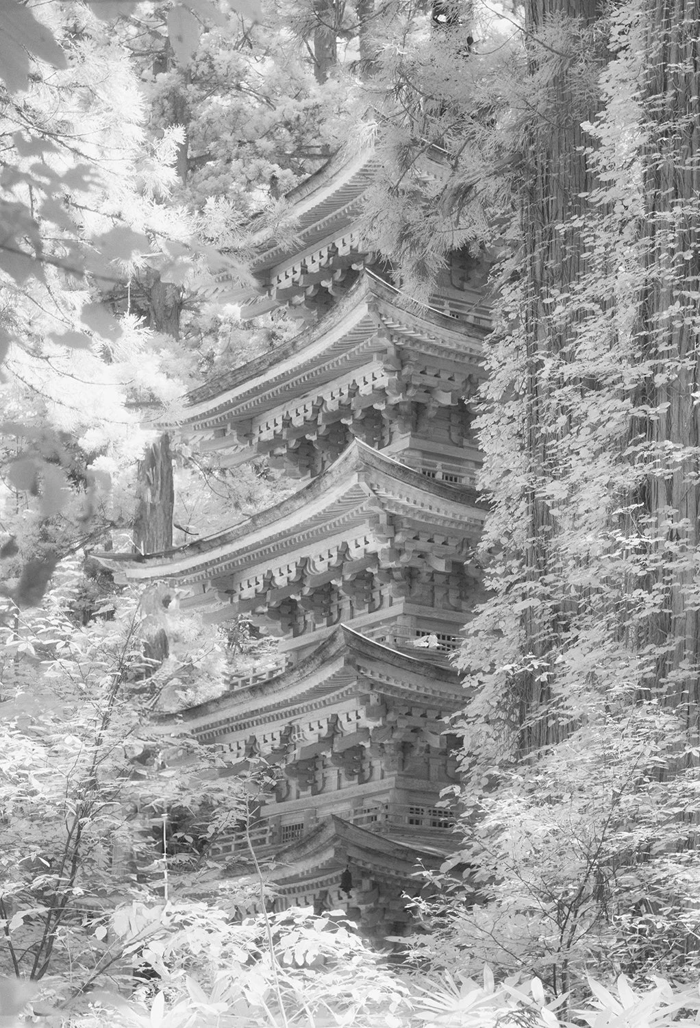 Pagoda sm.jpg