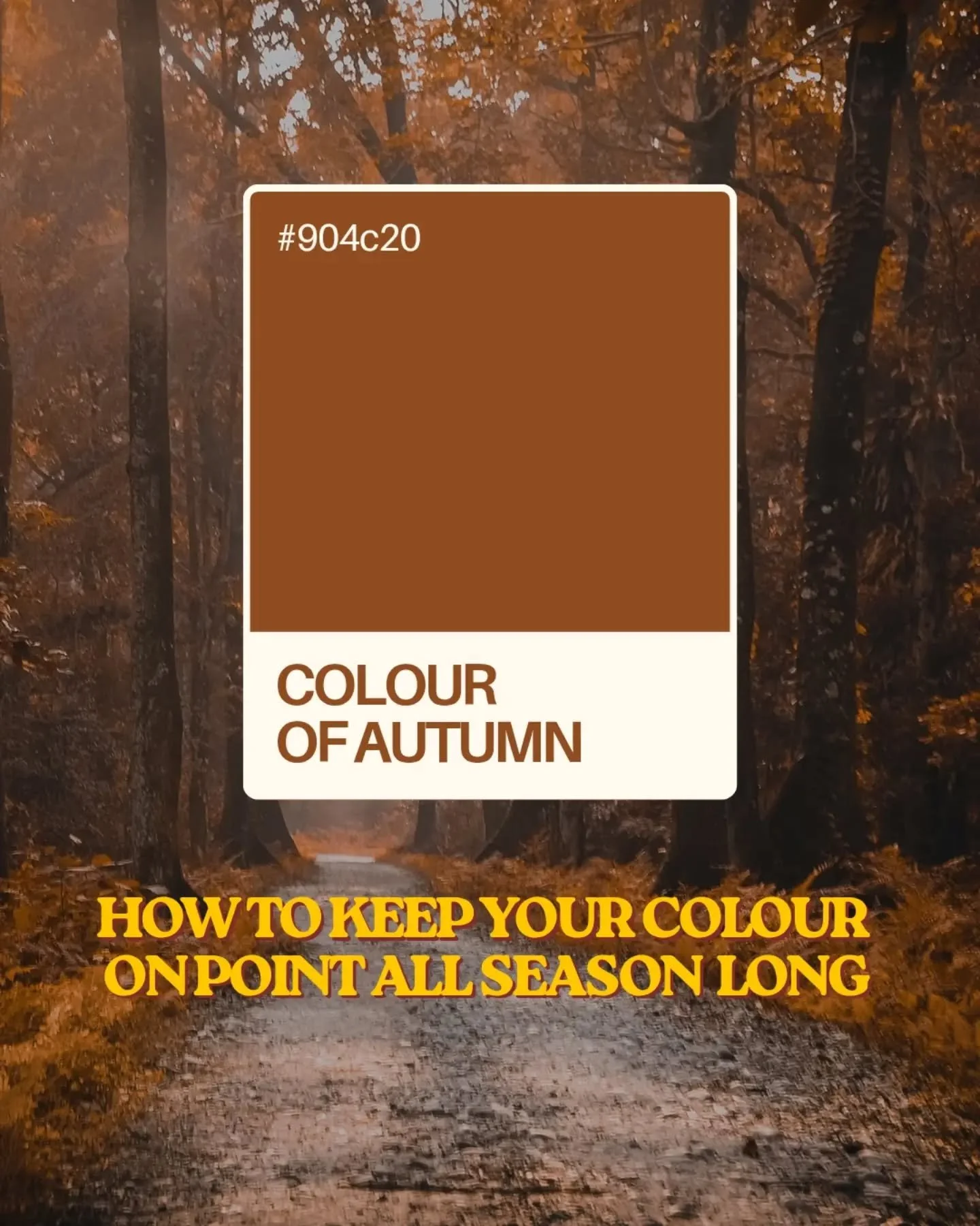 Colour fades, but here are some simple ways your products (and your habits!!) can keep your colour lasting you the season 🍂 Especially through our drrrryyy Calgary winter! 

Keep this post saved for your next colour appointment 

#haircolour #colour