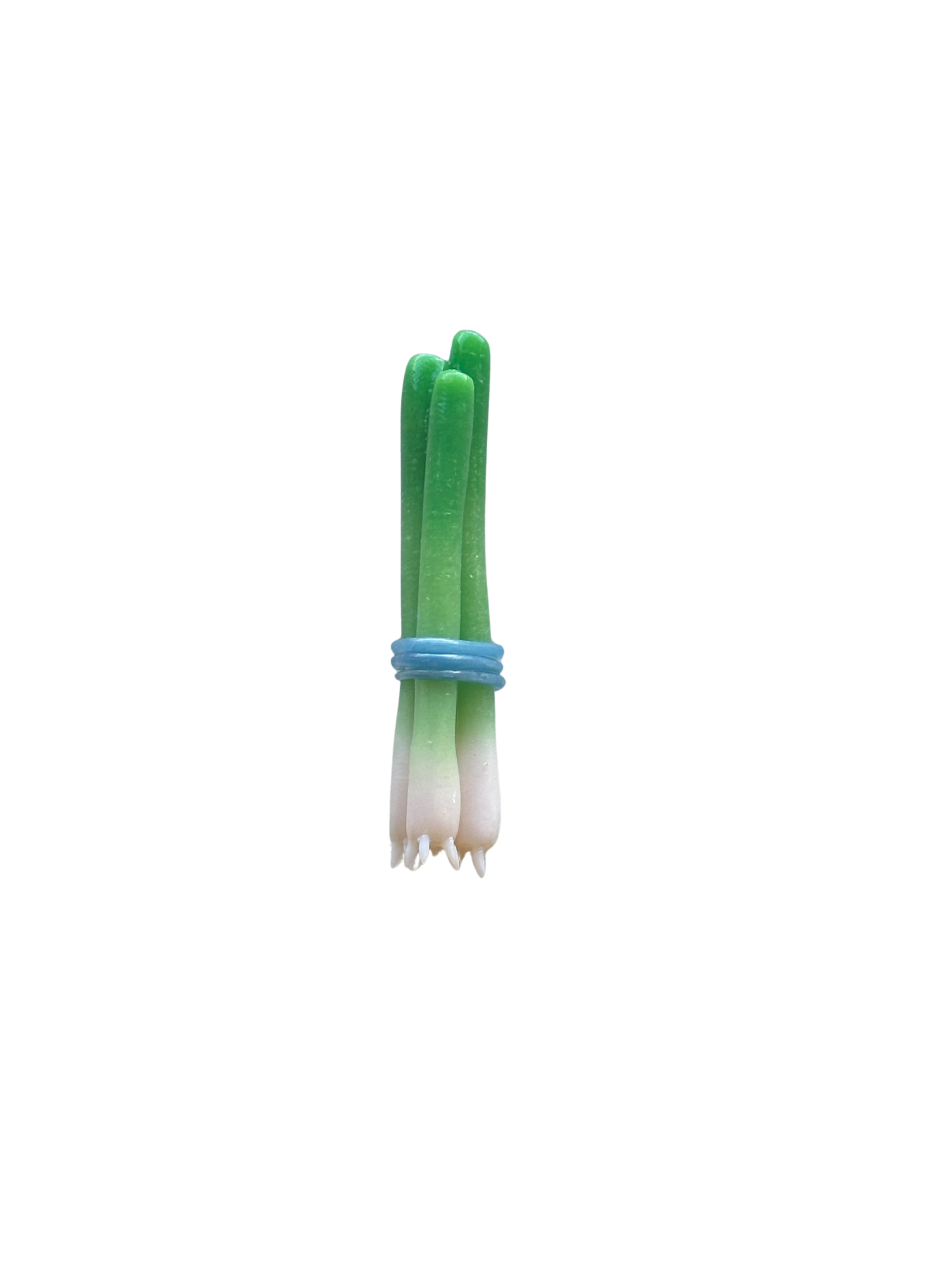 Green Onion Bunch